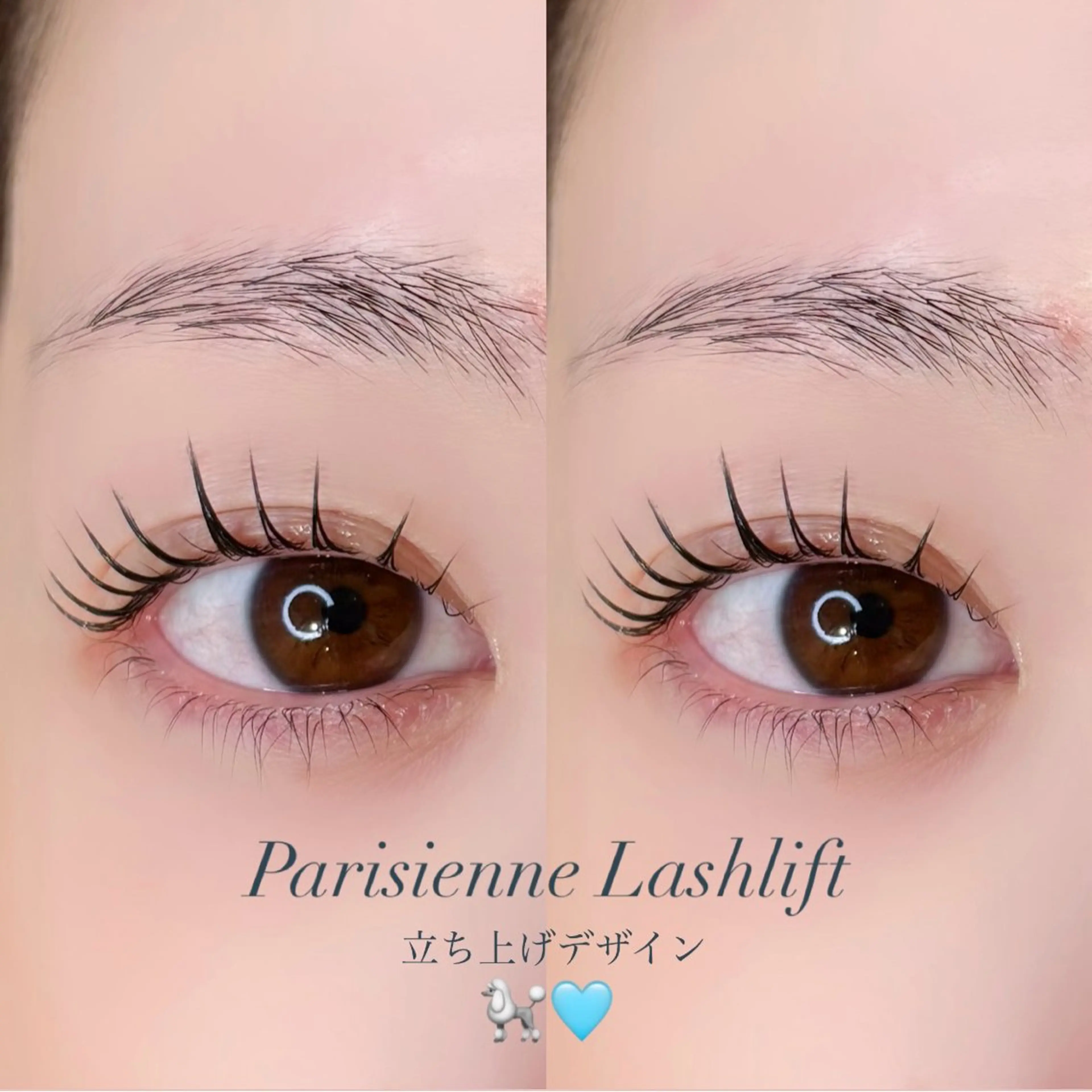 マツエク・マツパ マツパ miyuu 🤍のマツエク・マツパデザイン