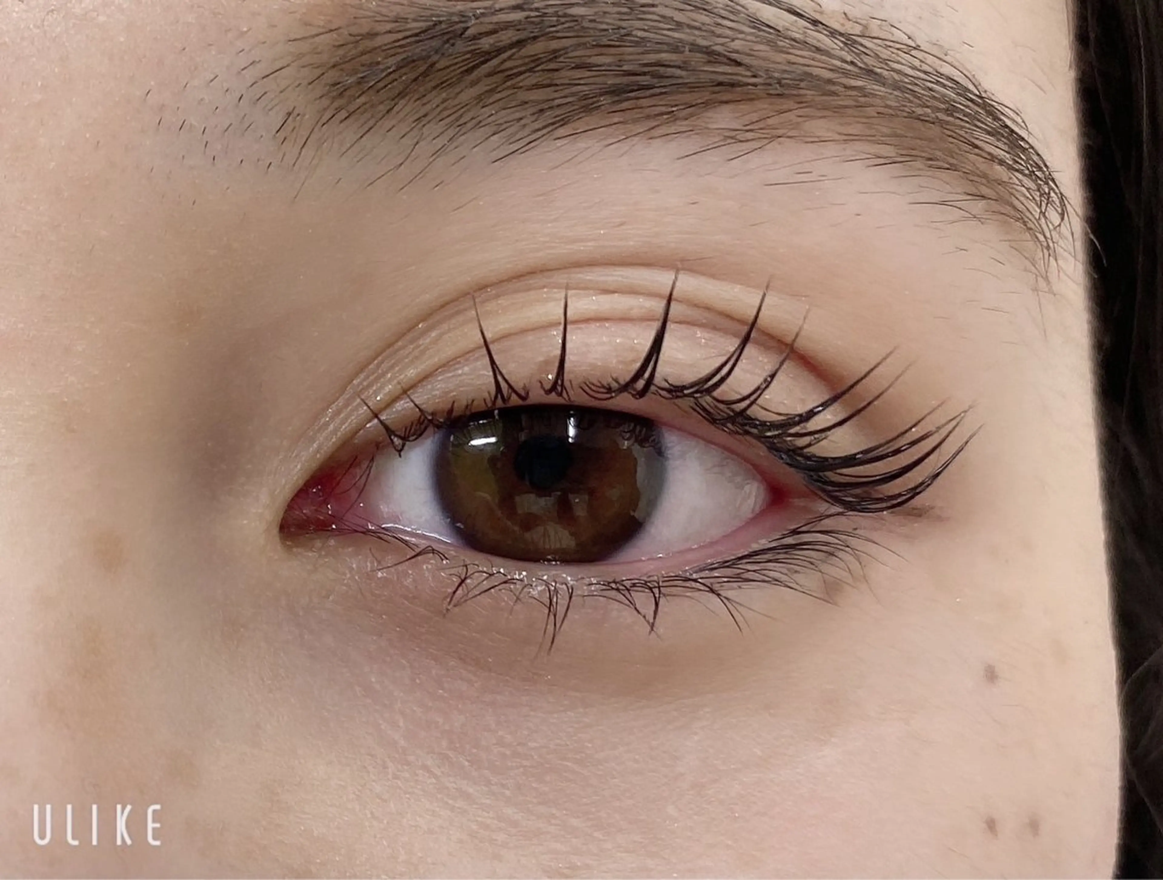 【✨minimo特別価格✨】上下パリジェンヌラッシュリフト🫶🏻💗 ̖́-の写真