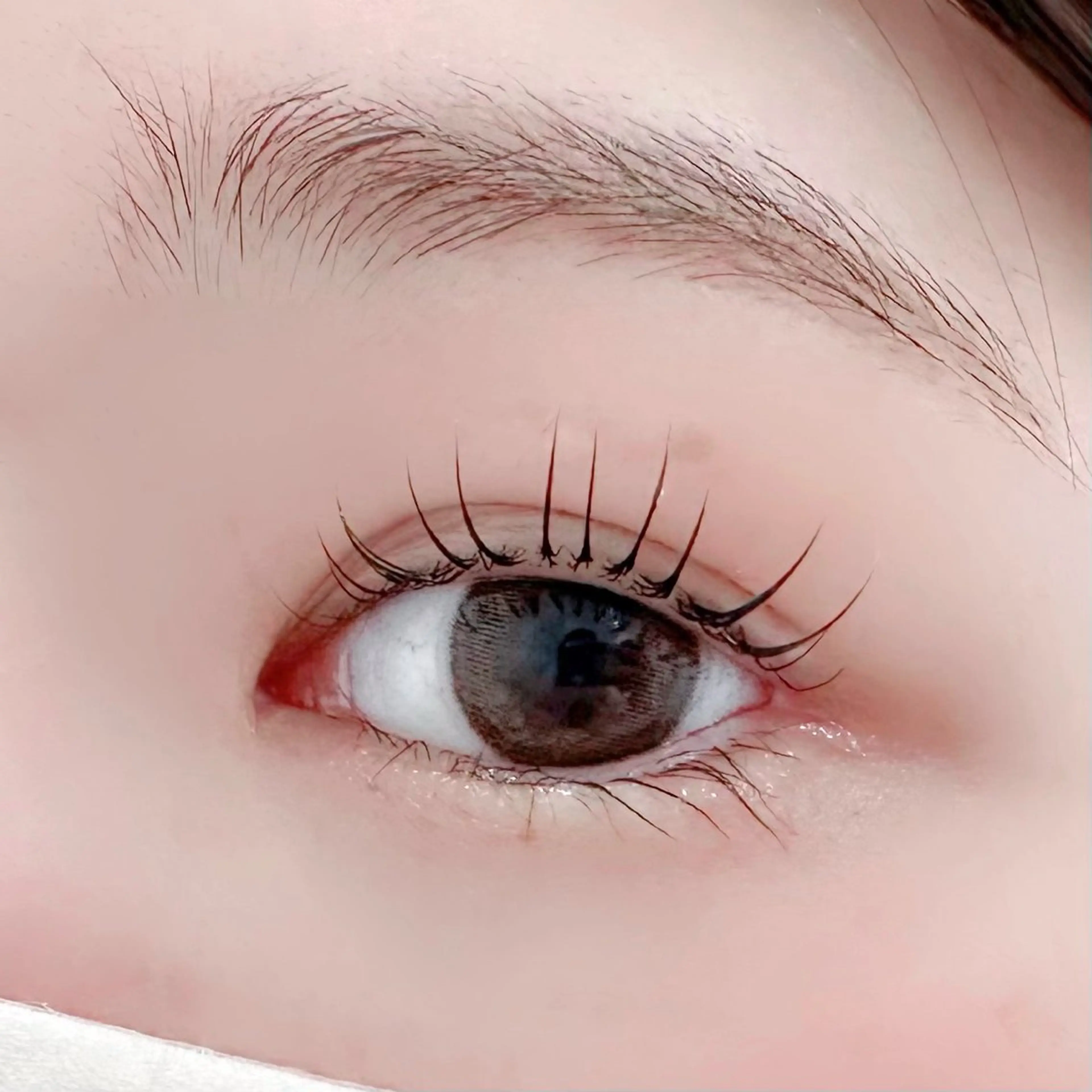 《当店人気NO.1》水島臨海鉄道 福井駅から徒歩10分🚶‍♀️まつ毛パーマ(上)🌟束感仕上げ付き👌🏻 ̖́-‬の写真