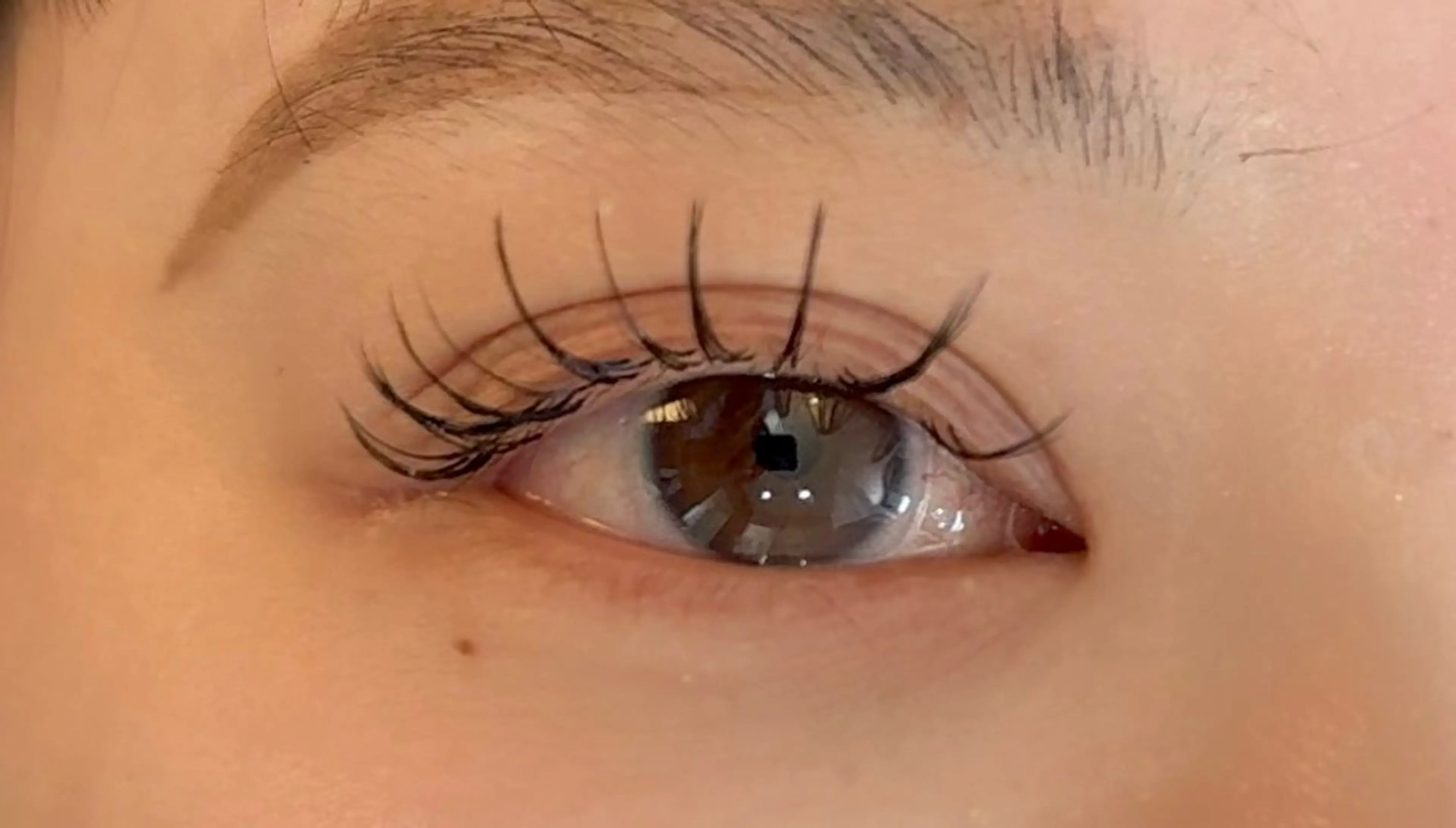 マツエク・マツパ カラーマツエク フラットラッシュ まつげパーマ セーブル 下まつげエクステ マツエク Total beauty La Fleur所属・ikeda midoriのマツエク・マツパデザイン