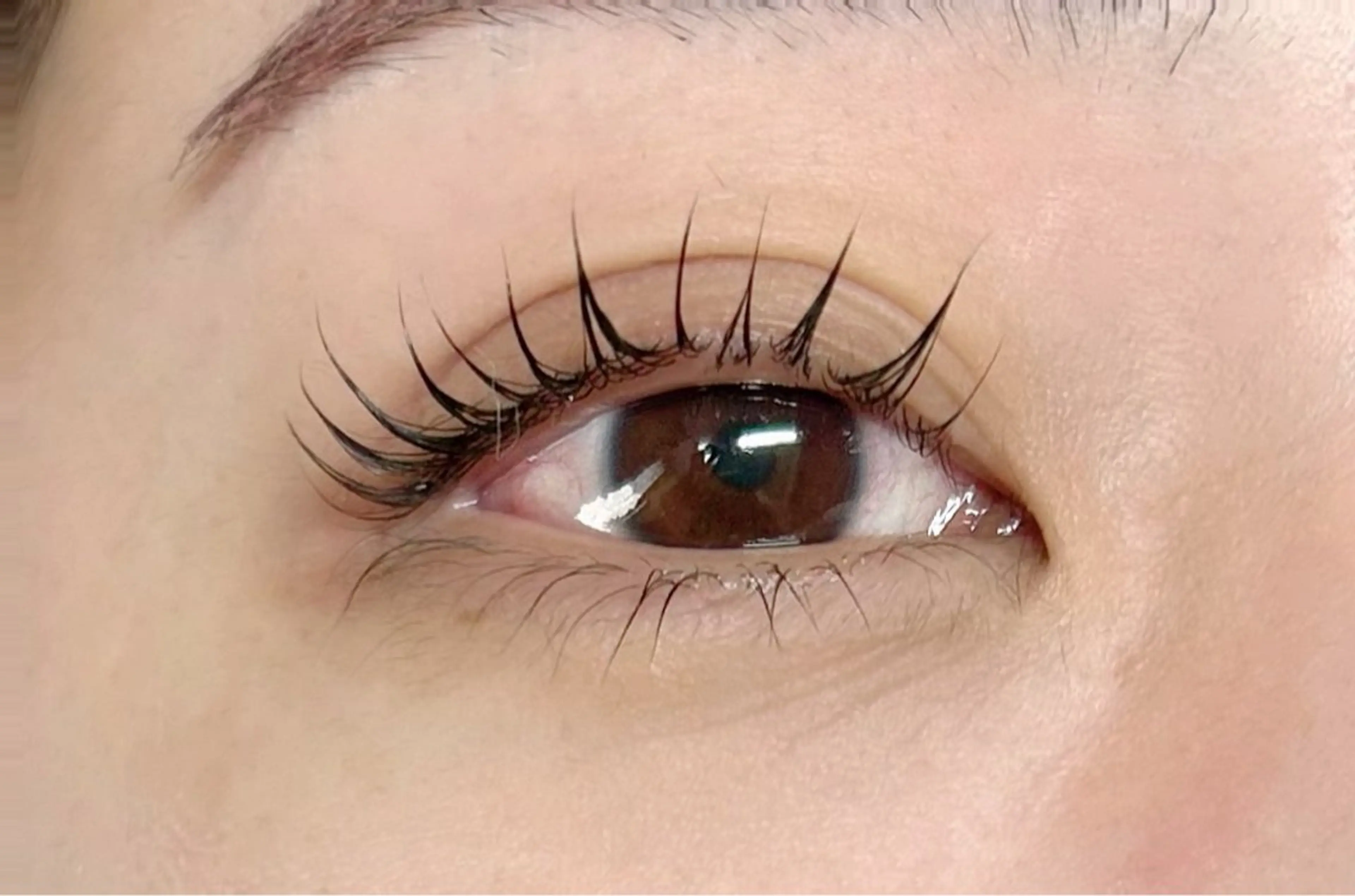 マツエク・マツパ CITRON ⭐︎のマツエク・マツパデザイン