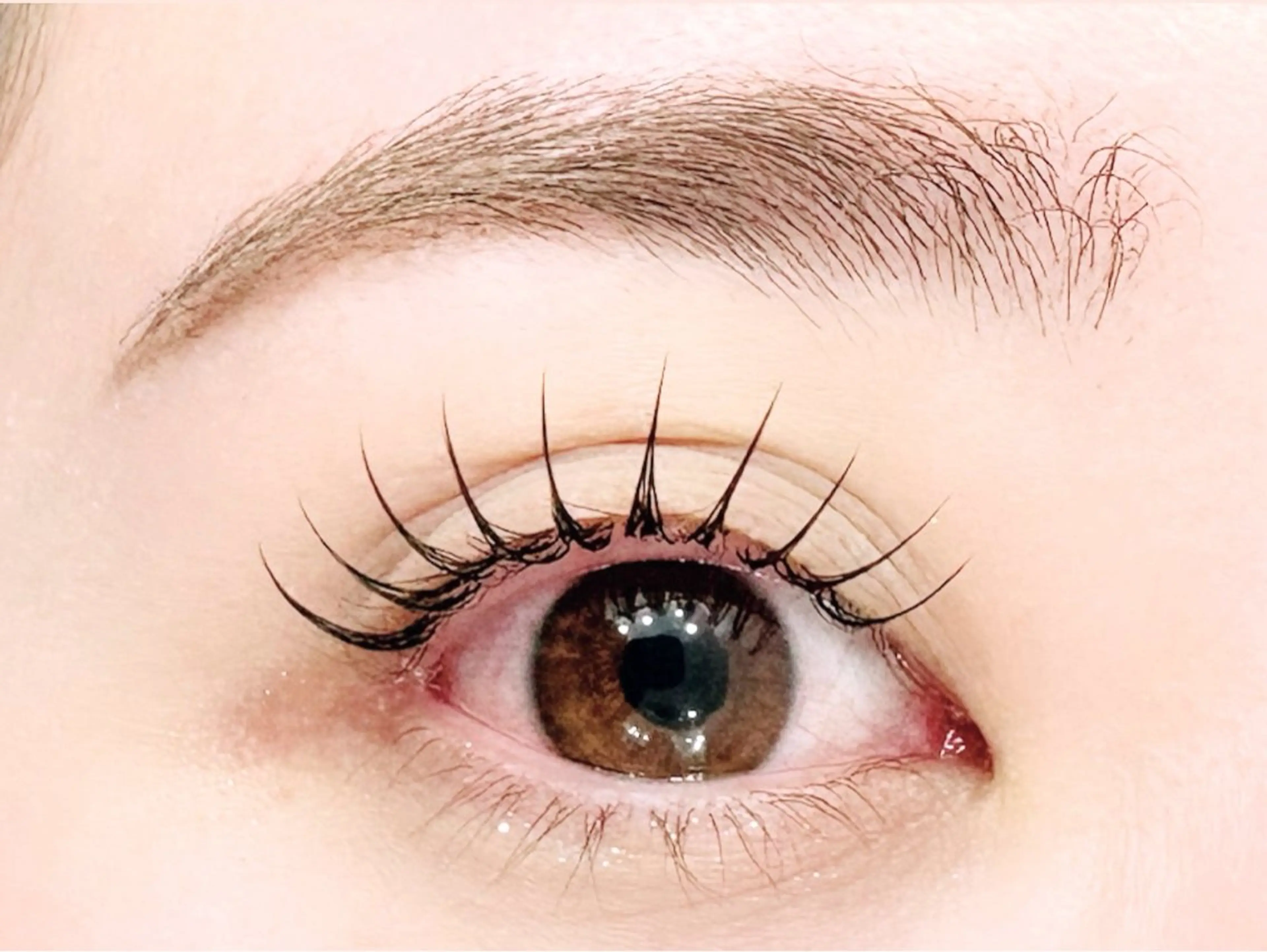 オフ込フラットラッシュ100本の写真