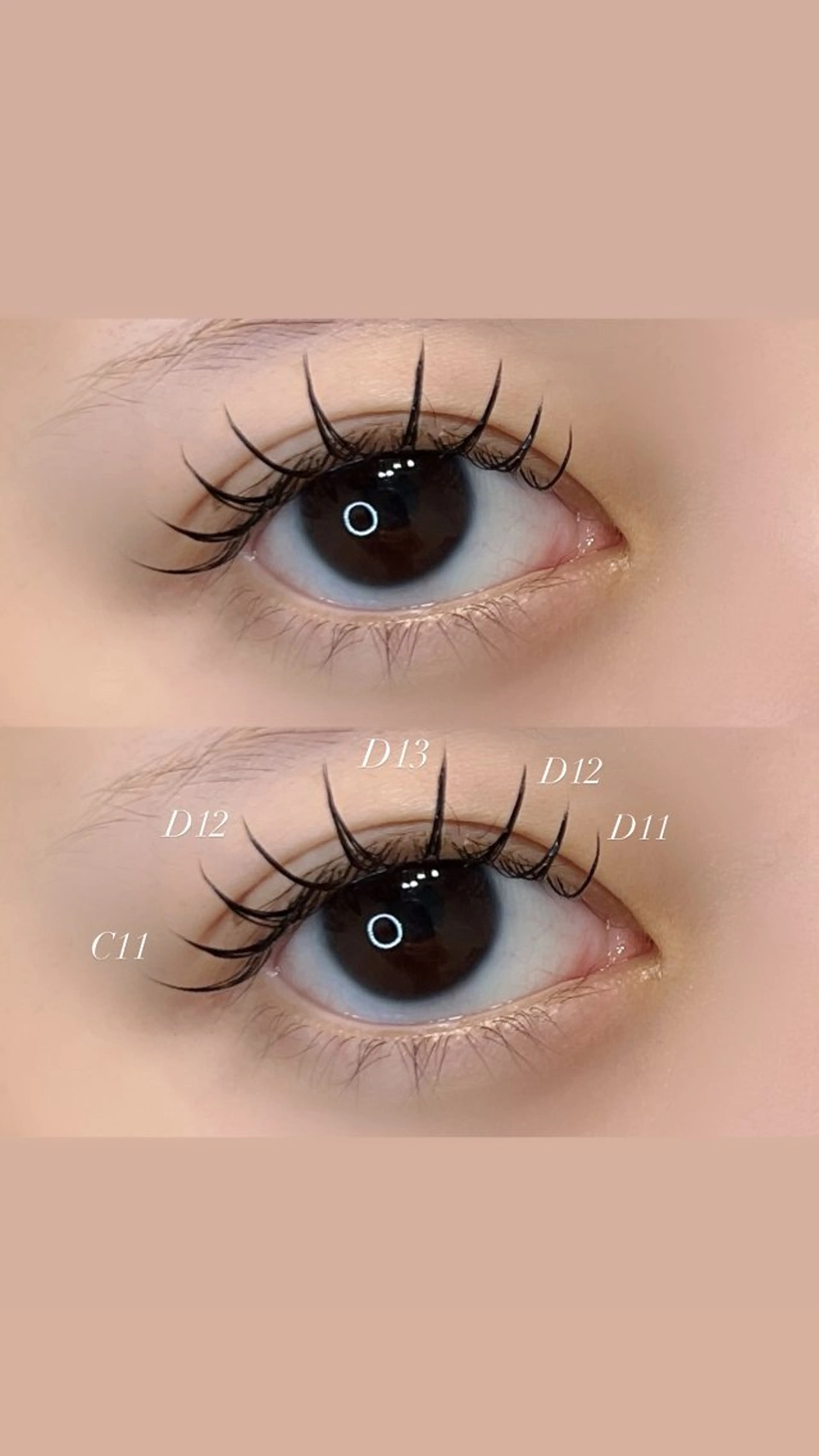 フラットorセーブル（選べる毛質）80本まで￥4300の写真