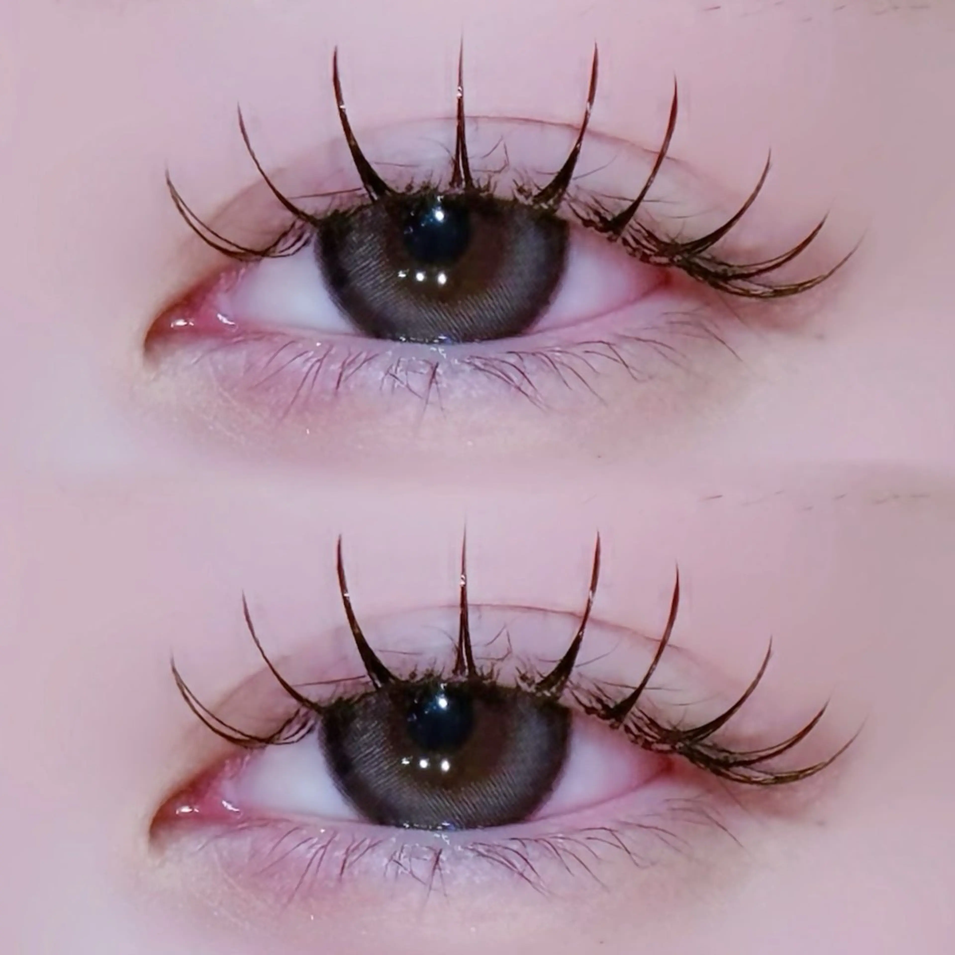 マツエク・マツパ EYELA🤍 蓜島のマツエク・マツパデザイン