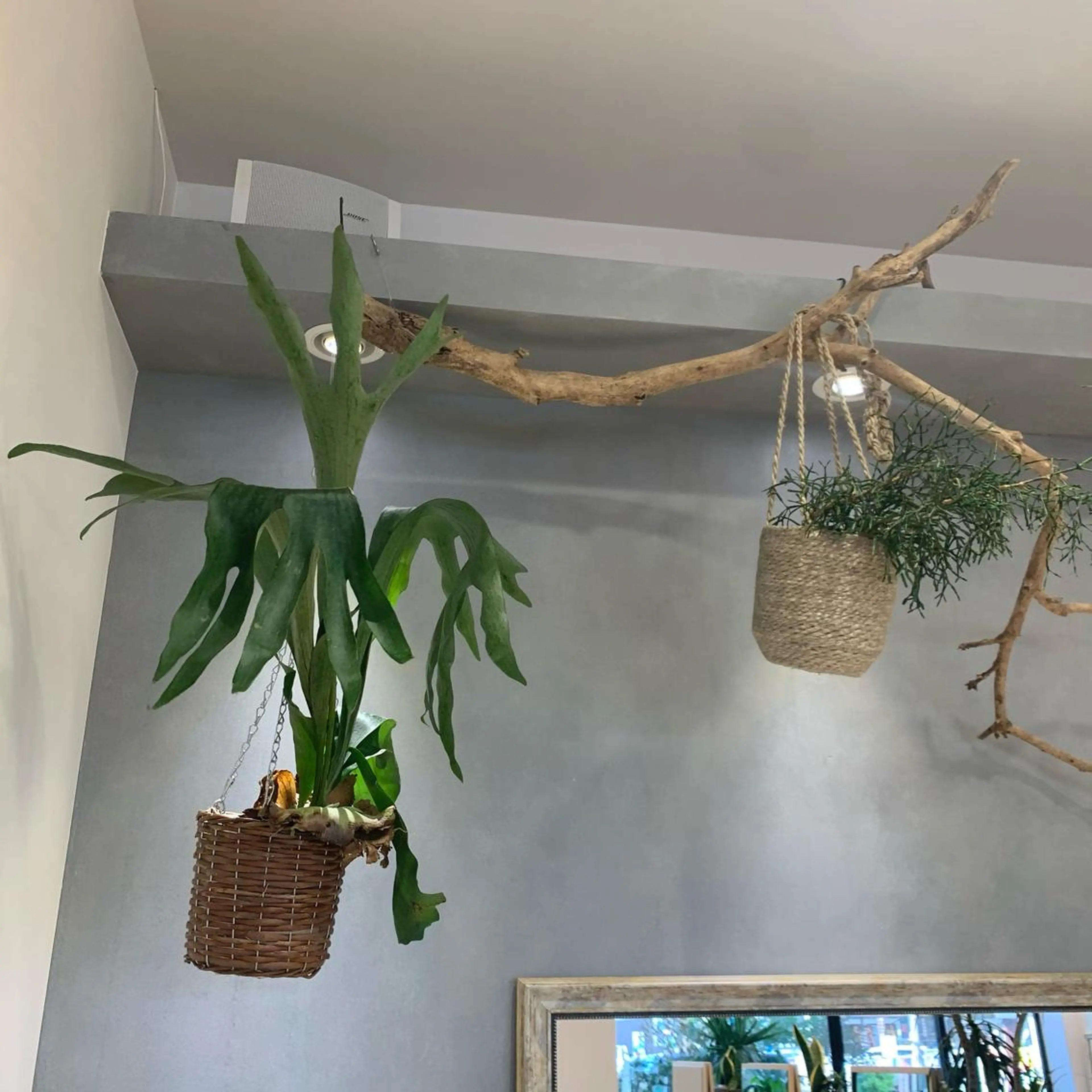 ミディアム カラー 吉原 由菜のヘアスタイル