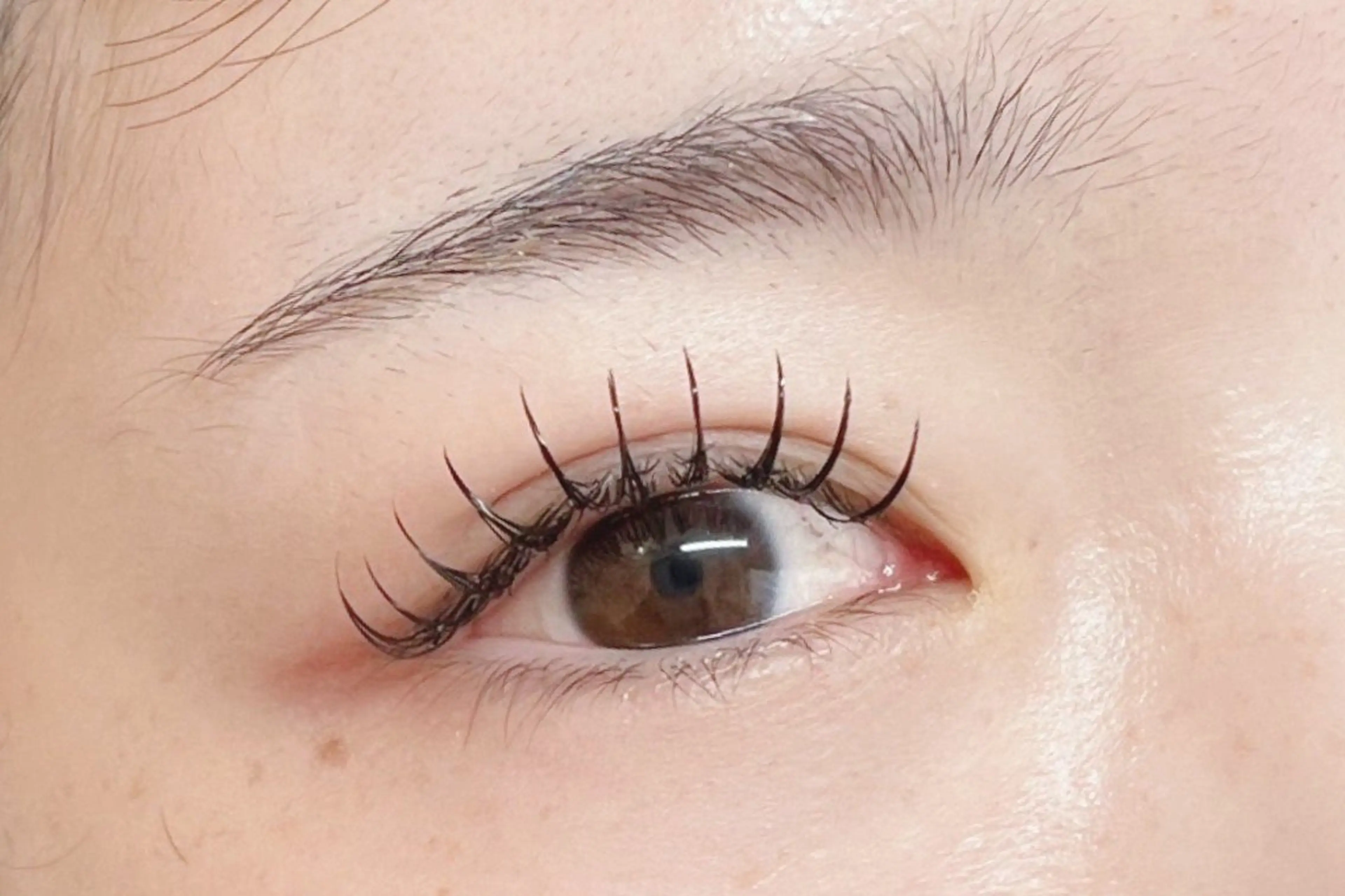 マツエク・マツパ フラットラッシュ Eyelash Hauoliの眉毛・アイブロウイメージ