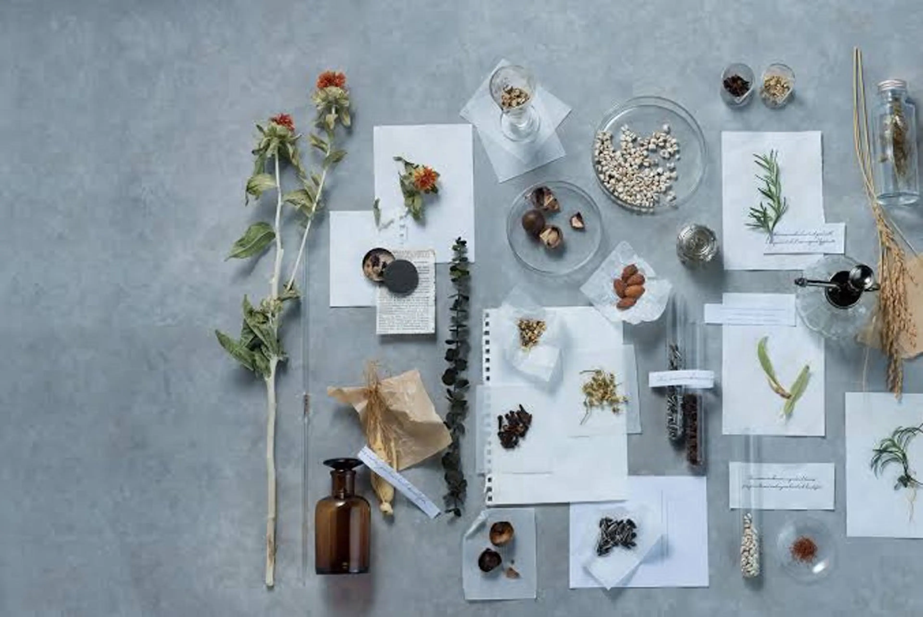 カット ヘアカラー ヘッドスパ 本格ヘッドスパ🌿 ×ヘア　佐藤のヘアスタイル