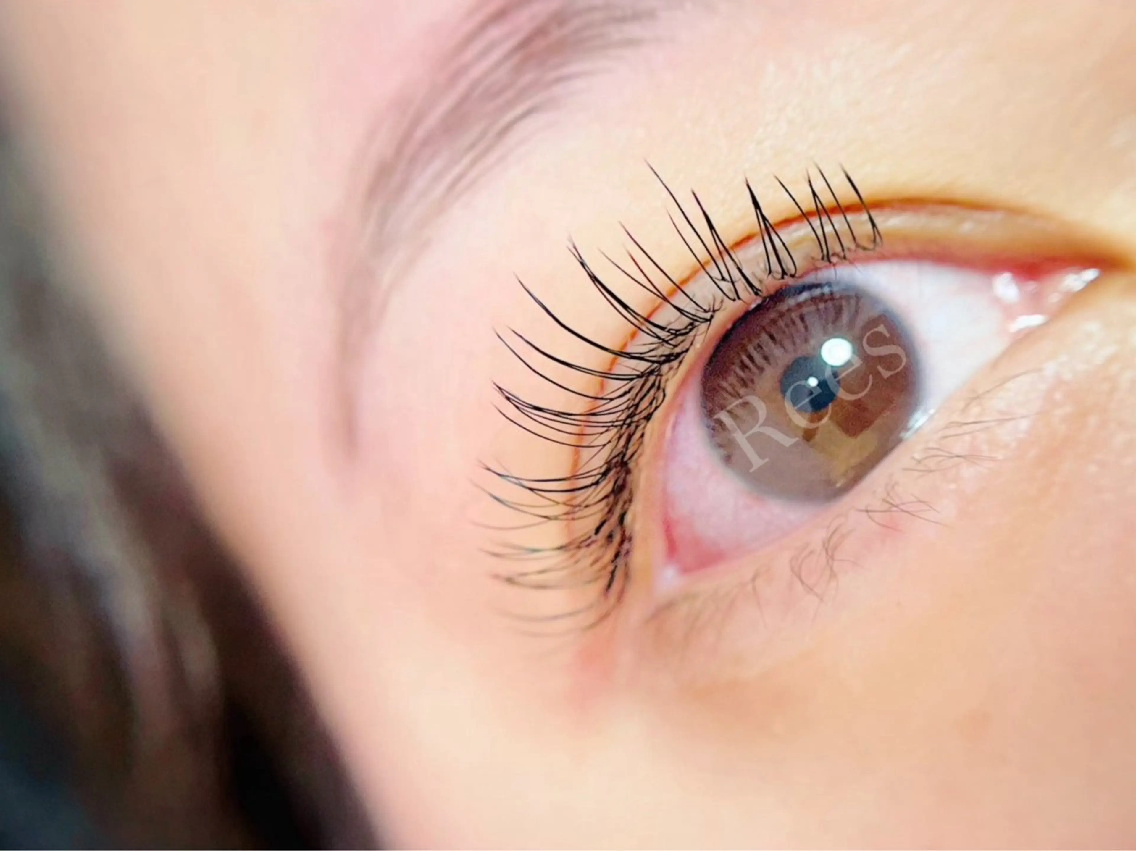 マツエク・マツパ フラットラッシュ ナチュラル 姫路アイデザイナー sacraのマツエク・マツパデザイン