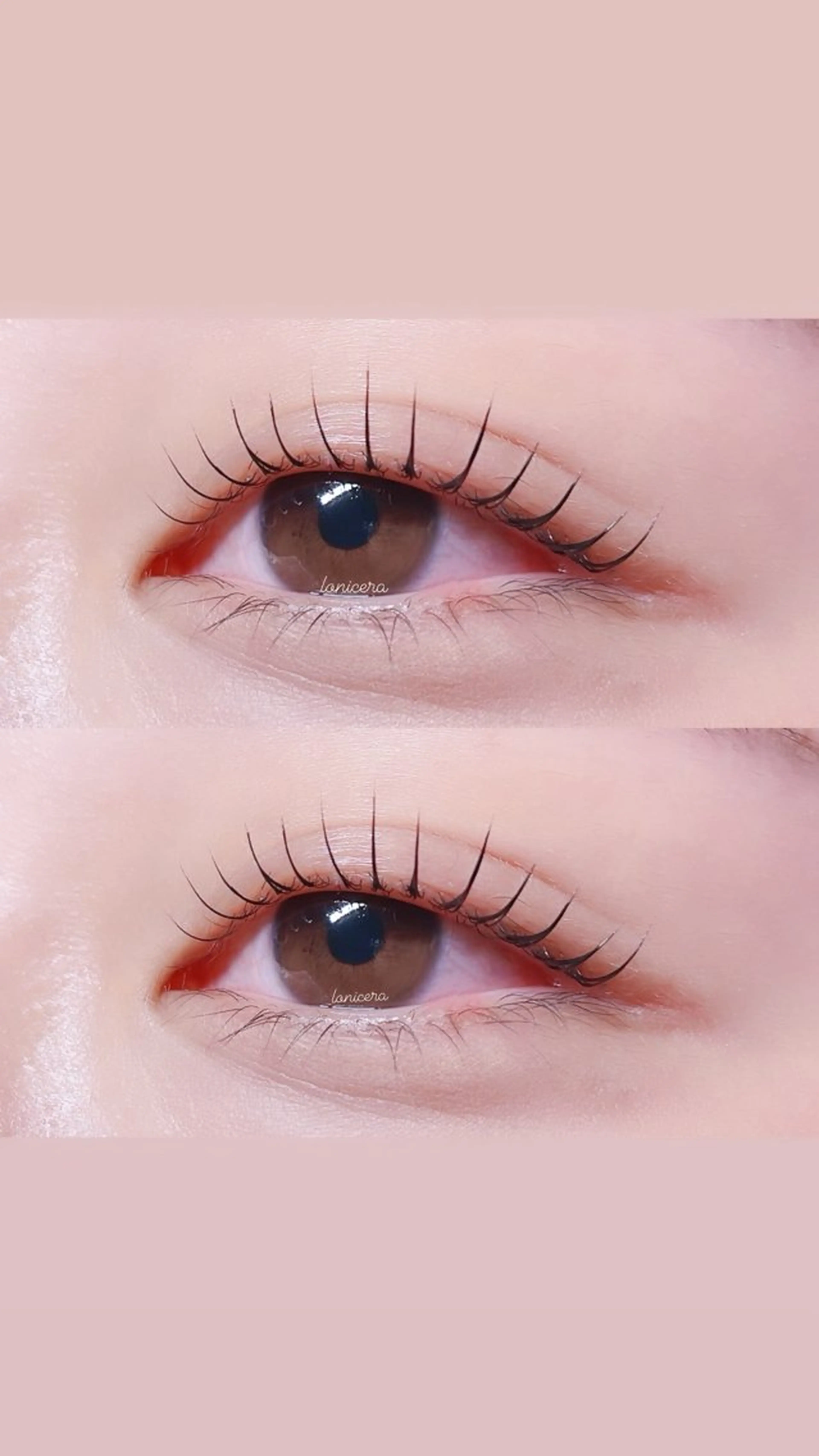 マツエク・マツパ 韓国風マツエク 一重×まつ毛パーマ ロニセラ アイラッシュのマツエク・マツパデザイン