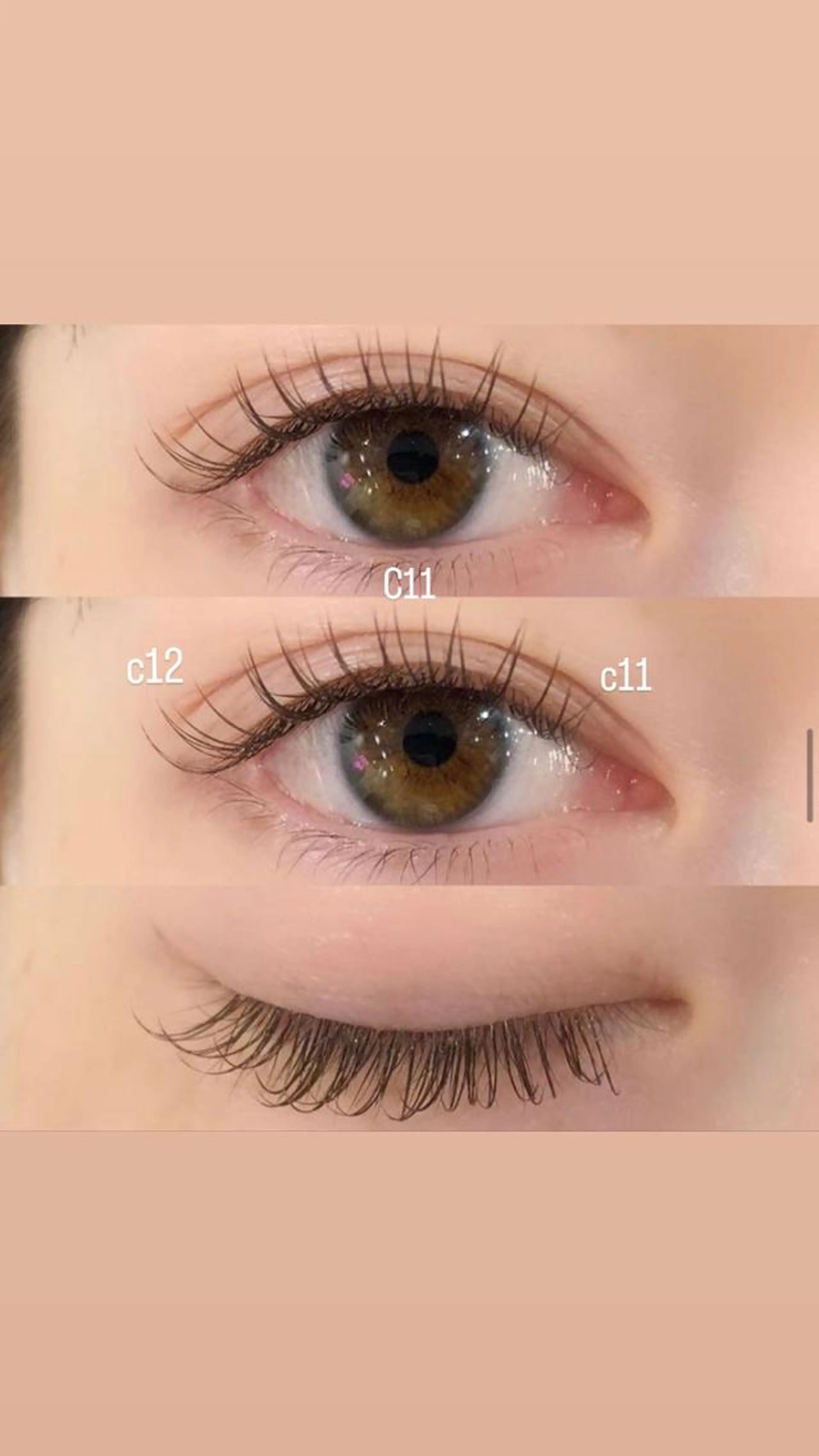 パリエク(パリジェンヌ+フラットラッシュ100本)の写真