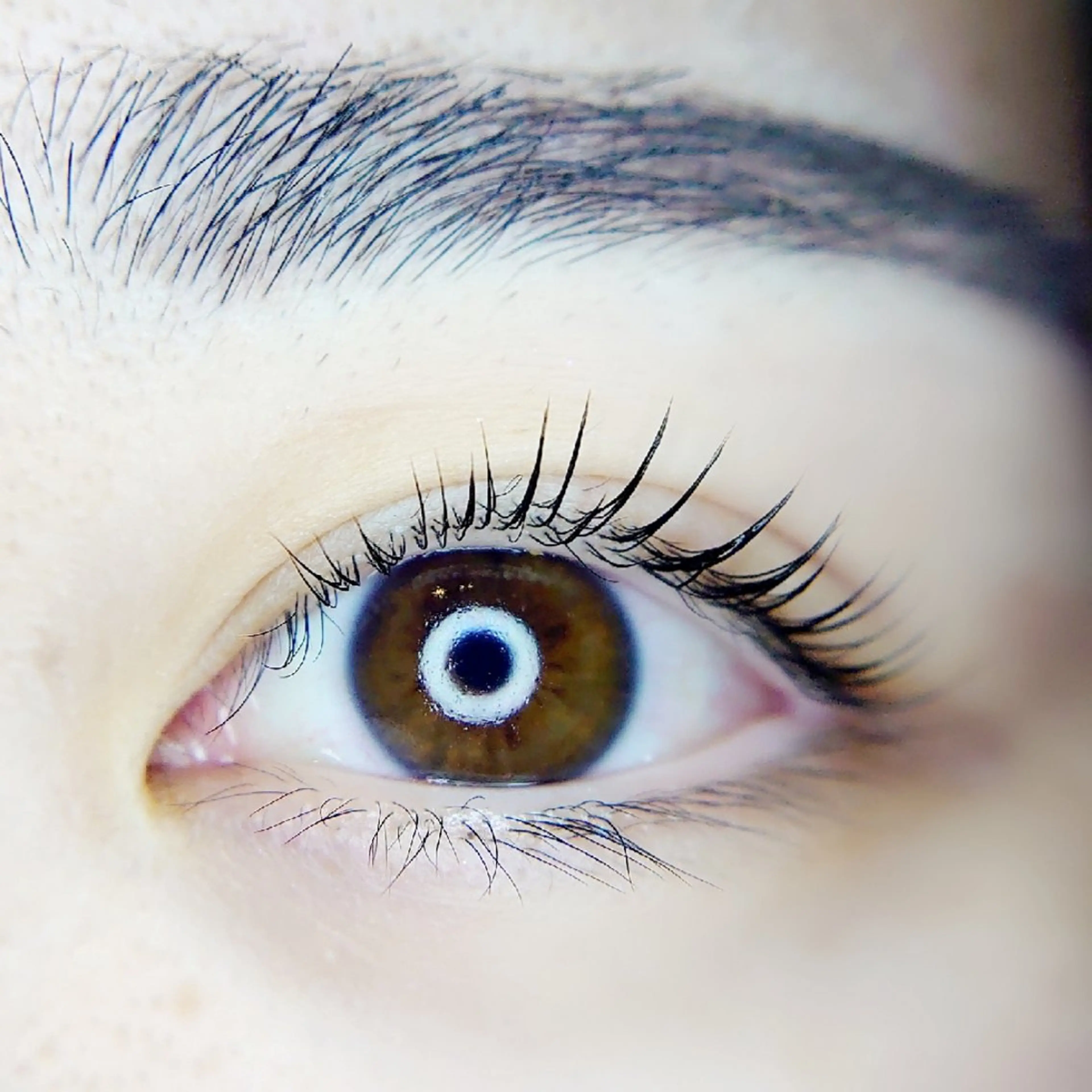 マツエク・マツパ Chelu TOMのマツエク・マツパデザイン