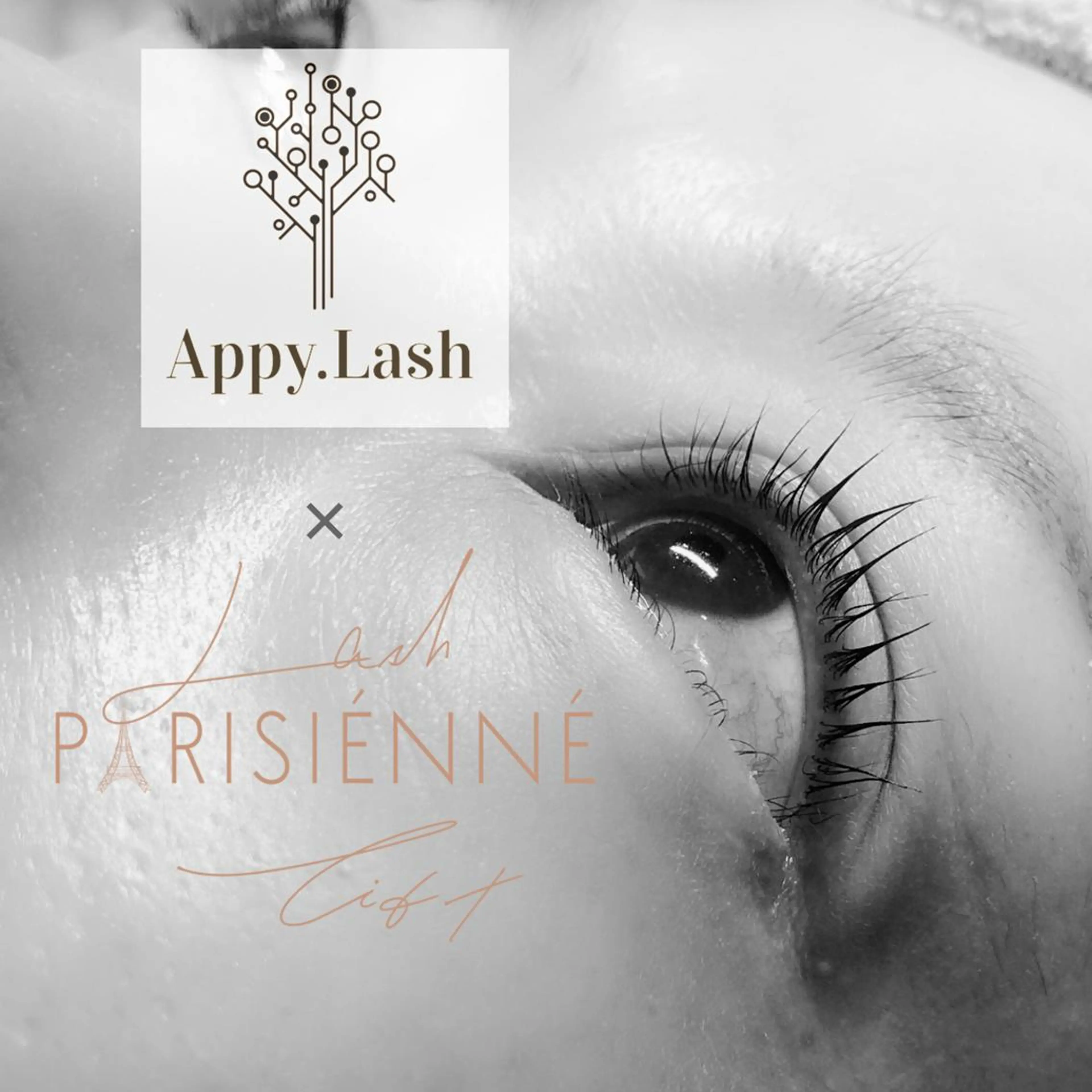 マツエク・マツパ まつげと眉の専門店 Appy.Lashのマツエク・マツパデザイン