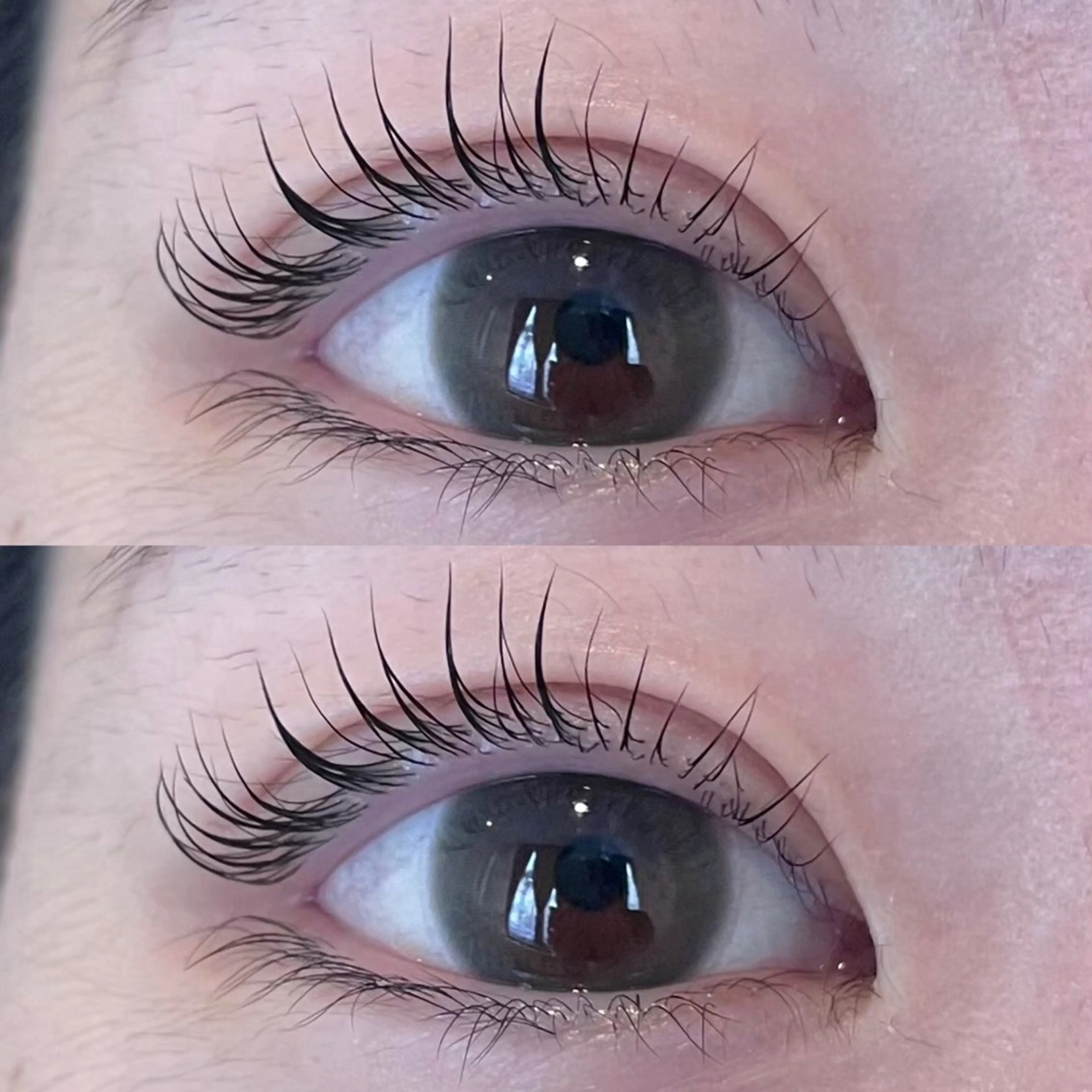 【minimo限定価格】パリジェンヌラッシュリフト♡の写真