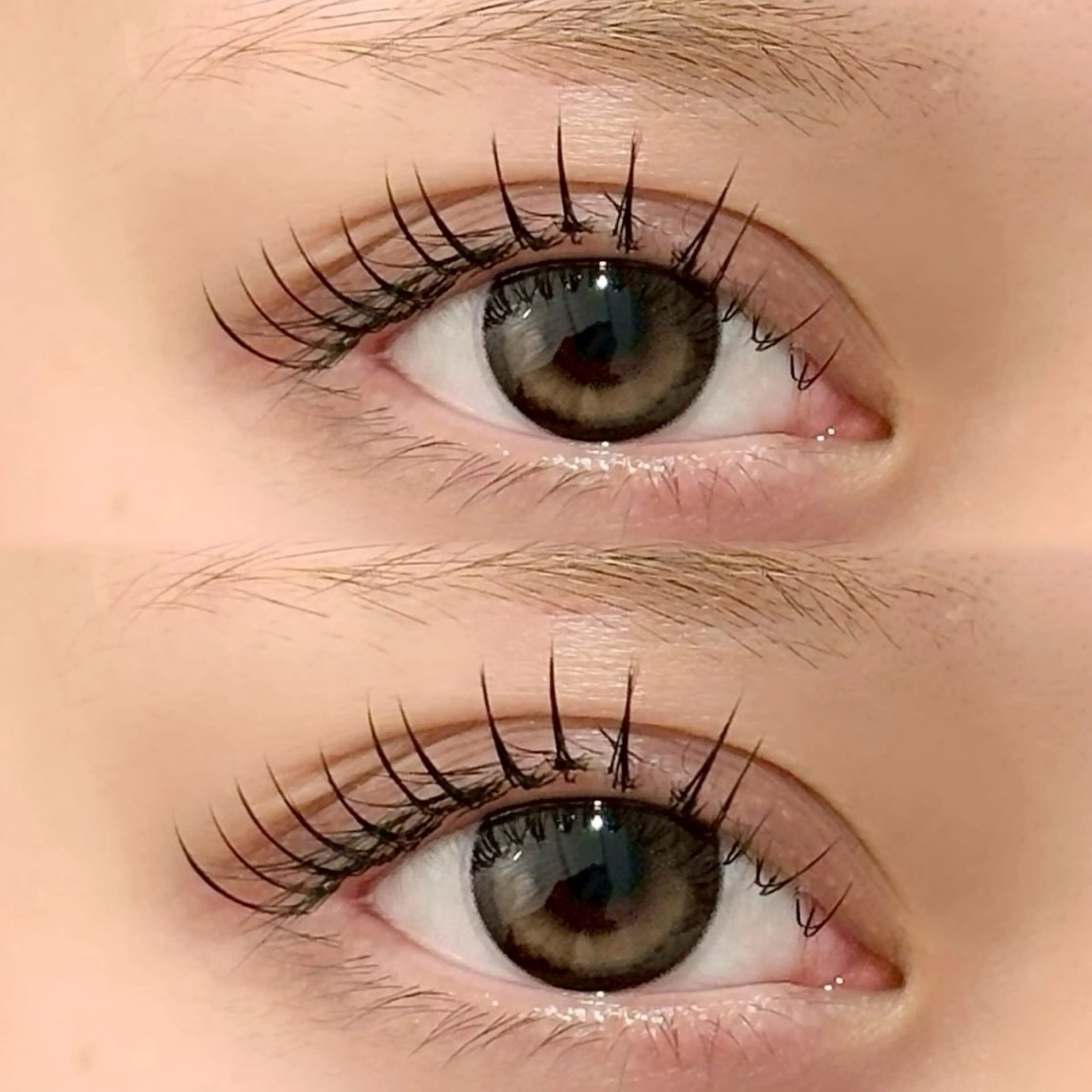 マツエク・マツパ フラットラッシュ マツエク 菊田 未来のマツエク・マツパデザイン