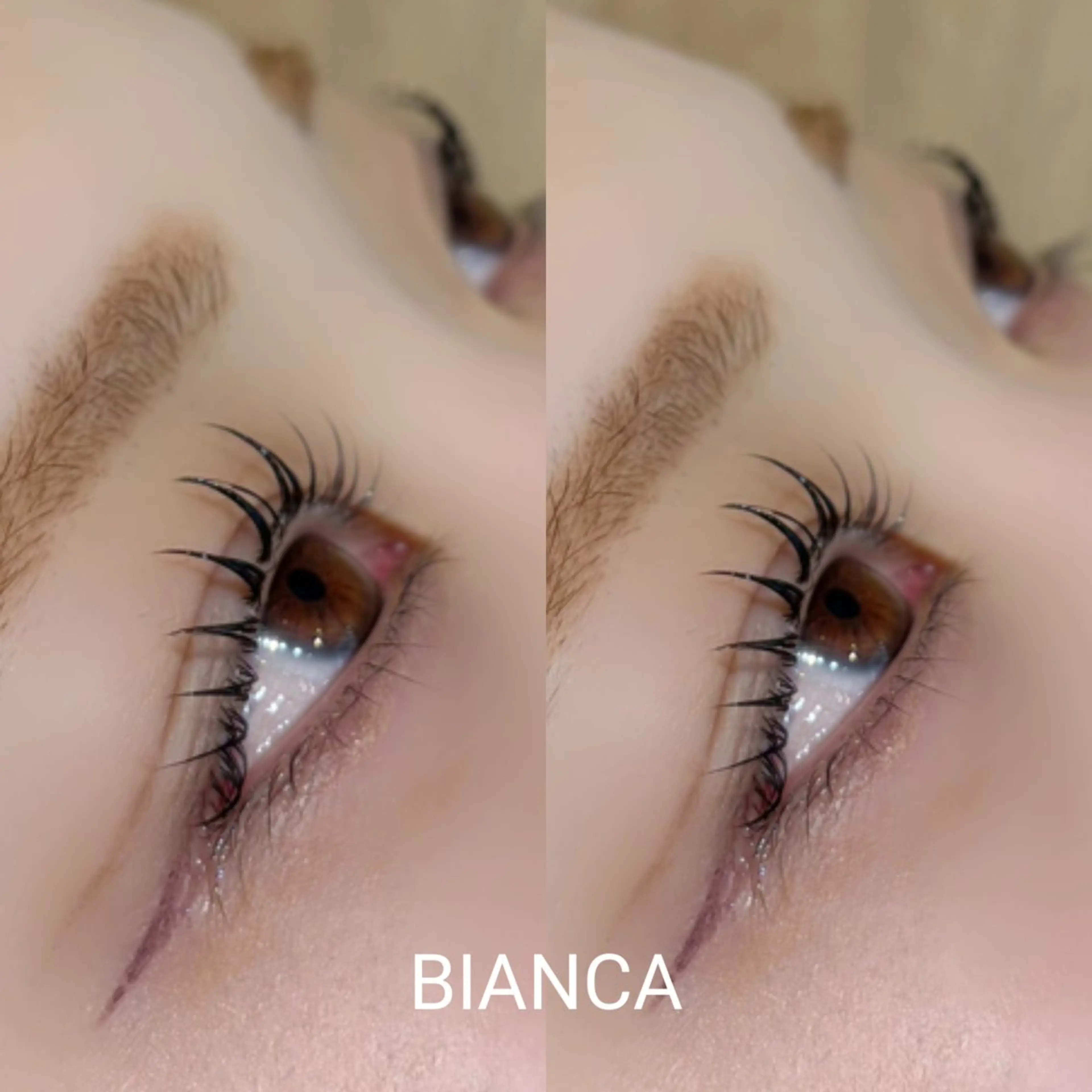 マツエク・マツパ ナチュラル マツパ Bianca 名駅店 飯田のマツエク・マツパデザイン