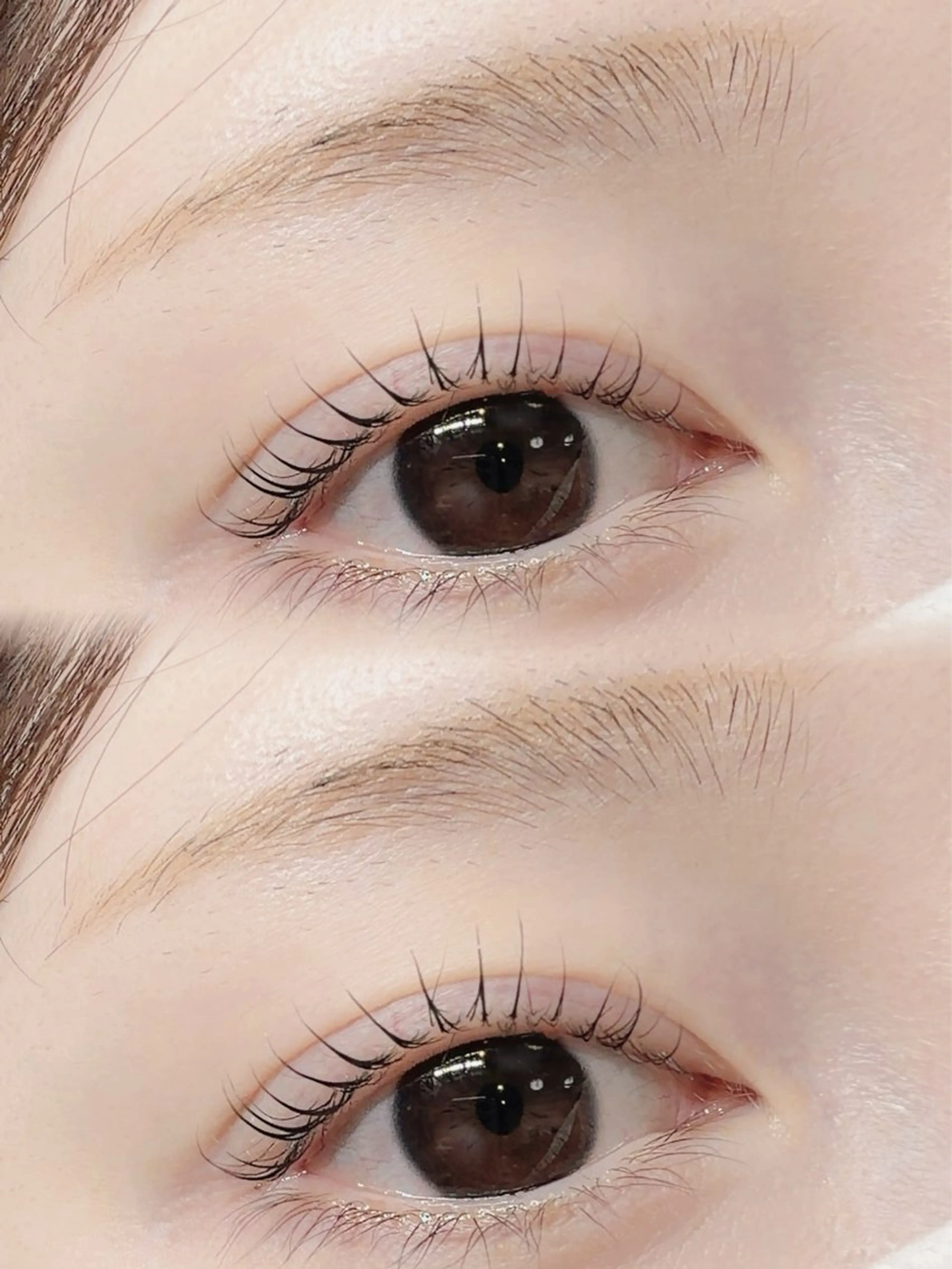 🔥ラッシュリフト/まつげパーマ🔥【美容コーティング付き】の写真