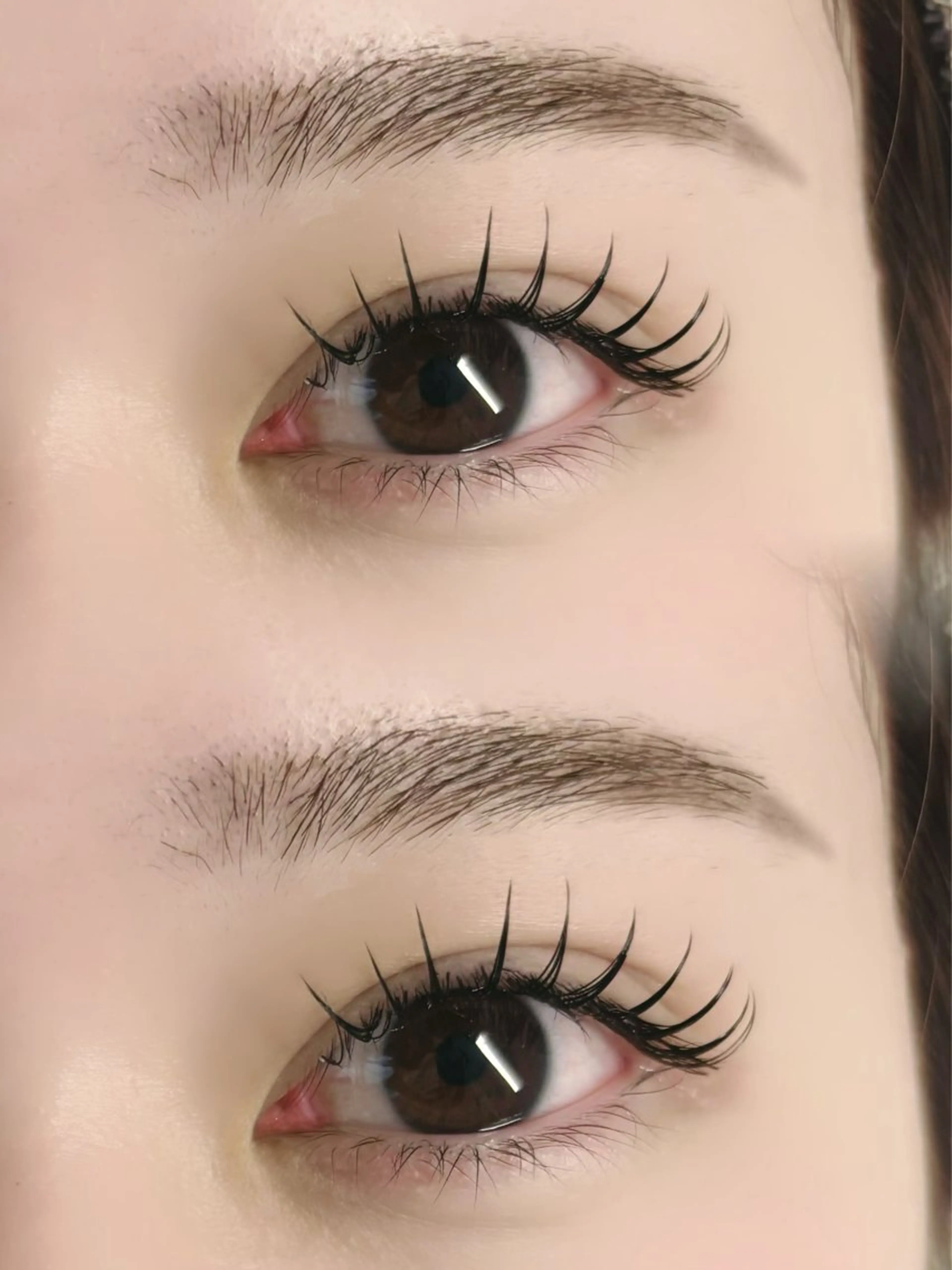 フラットラッシュ140本の写真