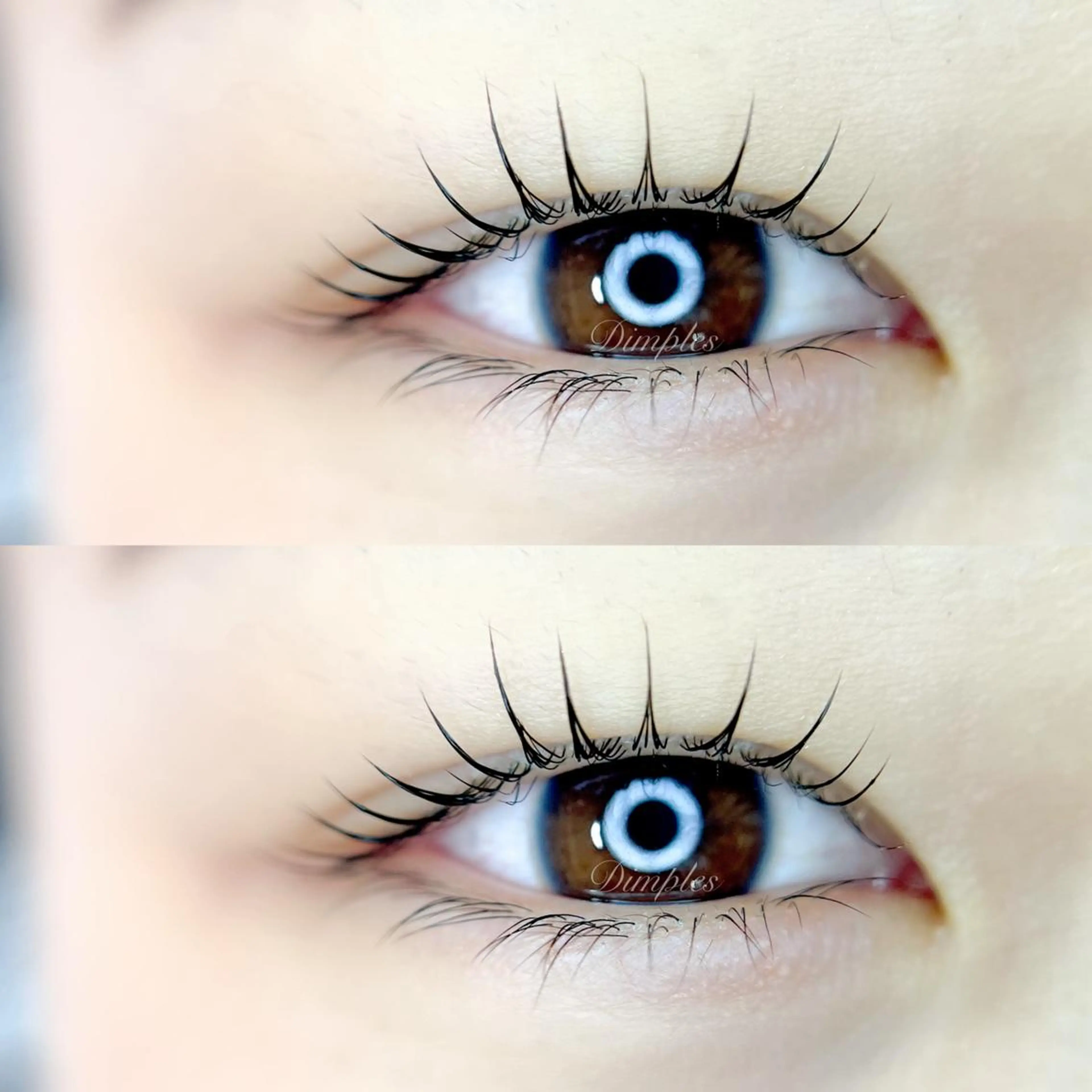 マツエク・マツパ Dimples所属・Dimples eyelashのマツエク・マツパデザイン