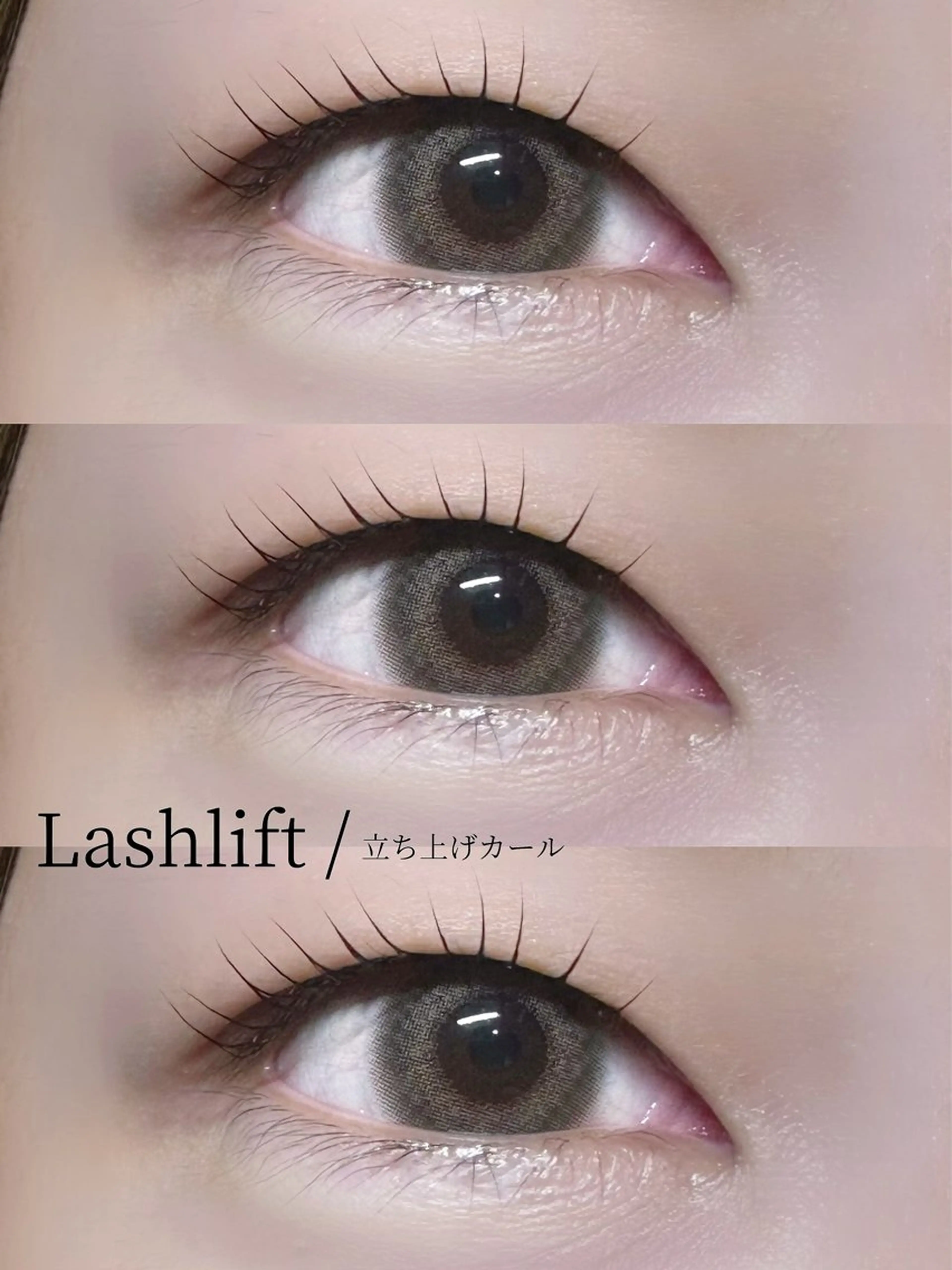 マツエク・マツパ NAVY eye / an🎀の眉毛・アイブロウイメージ