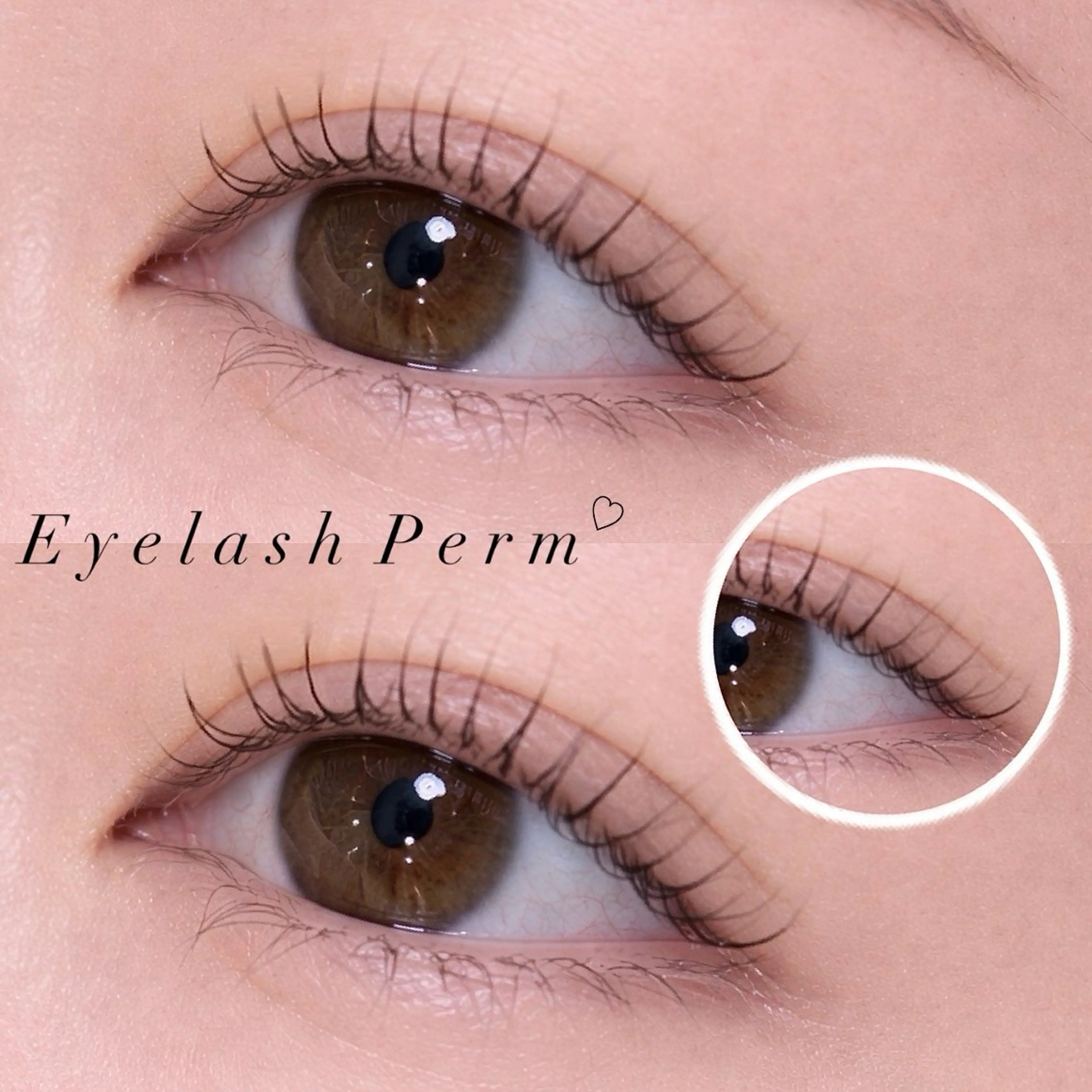 まつ毛パーマ👀✨［上］コーティング込💫の写真