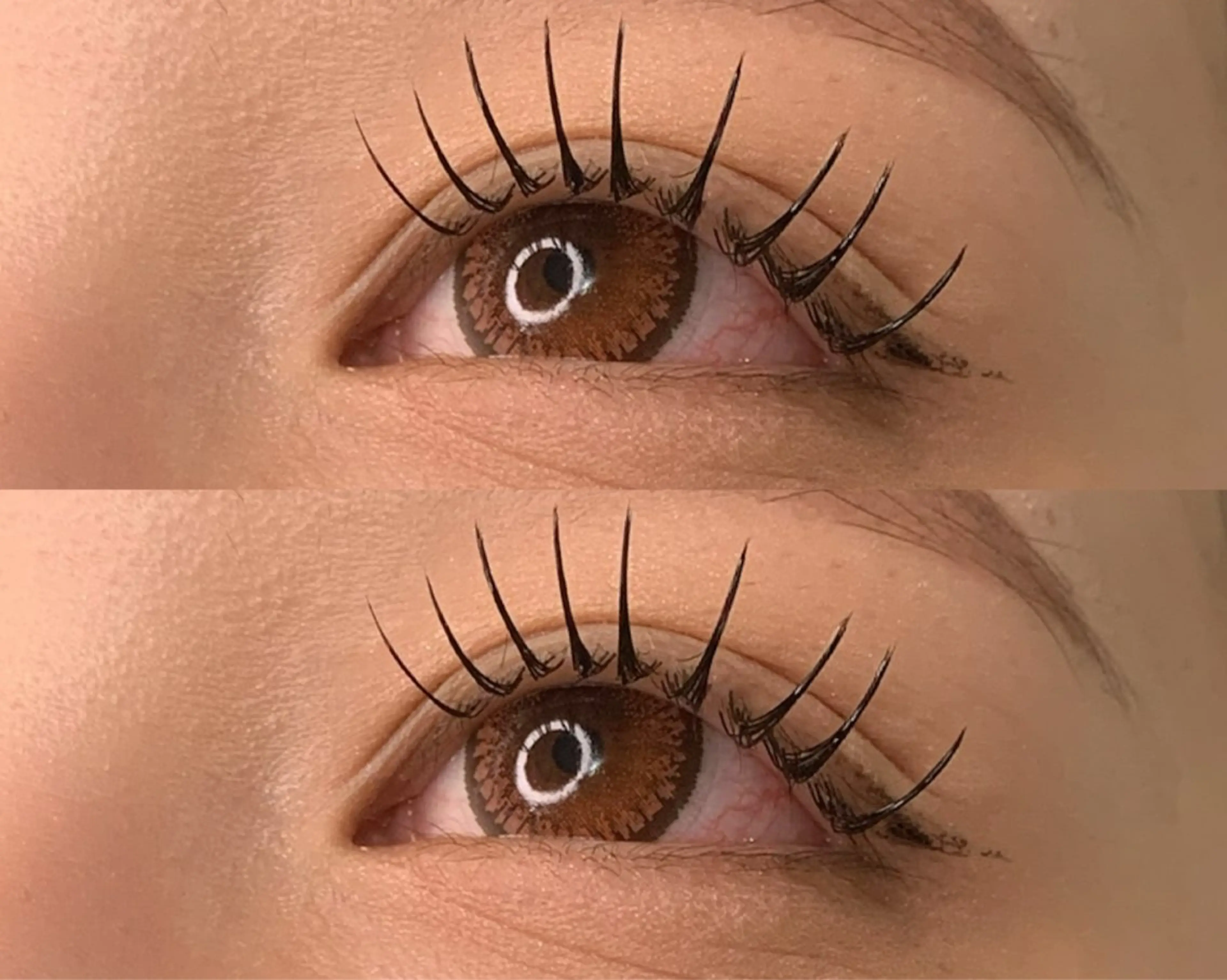 マツエク・マツパ Dカール フラットラッシュ Eyelash Salon IROのマツエク・マツパデザイン