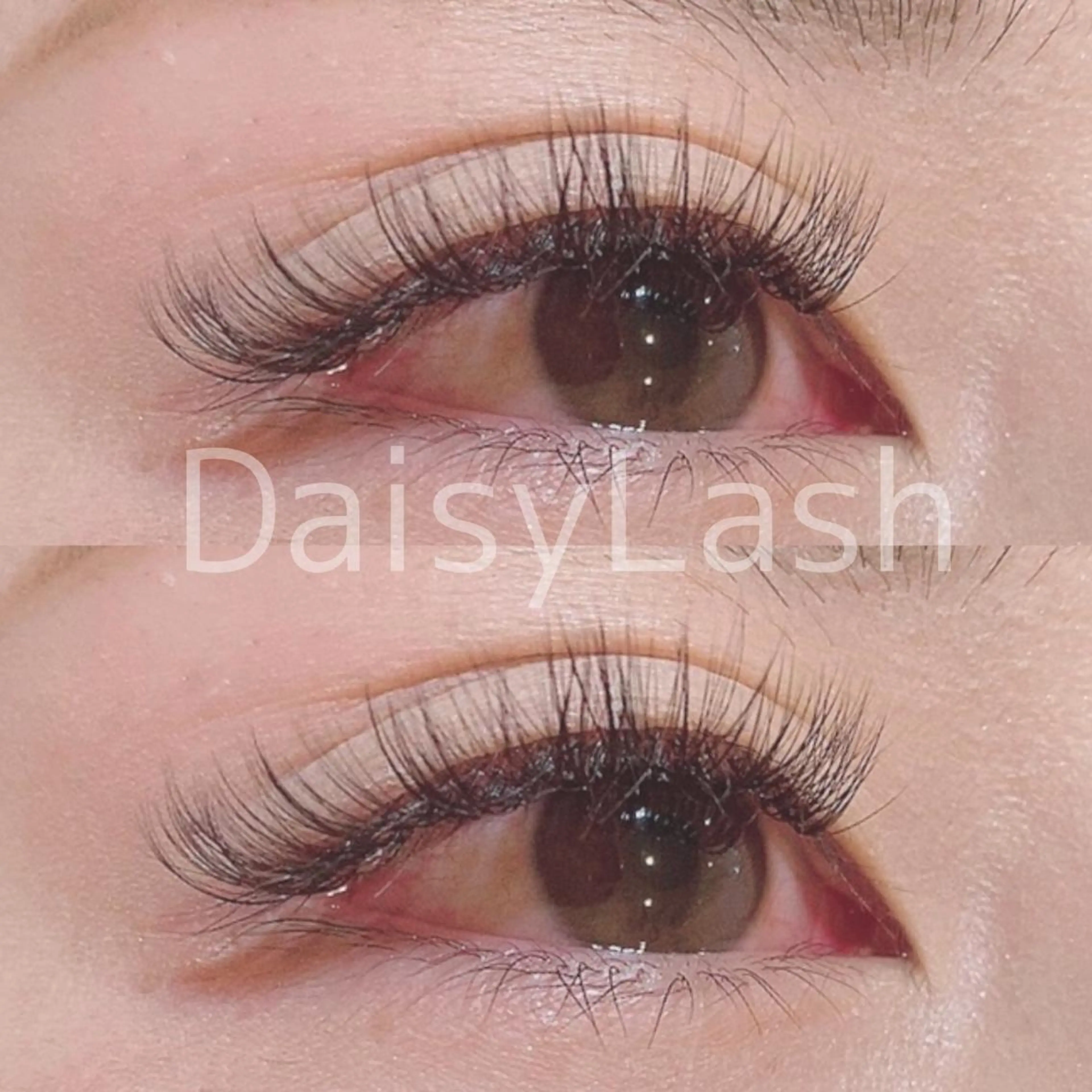 マツエク・マツパ DaisyLash 京橋店のマツエク・マツパデザイン