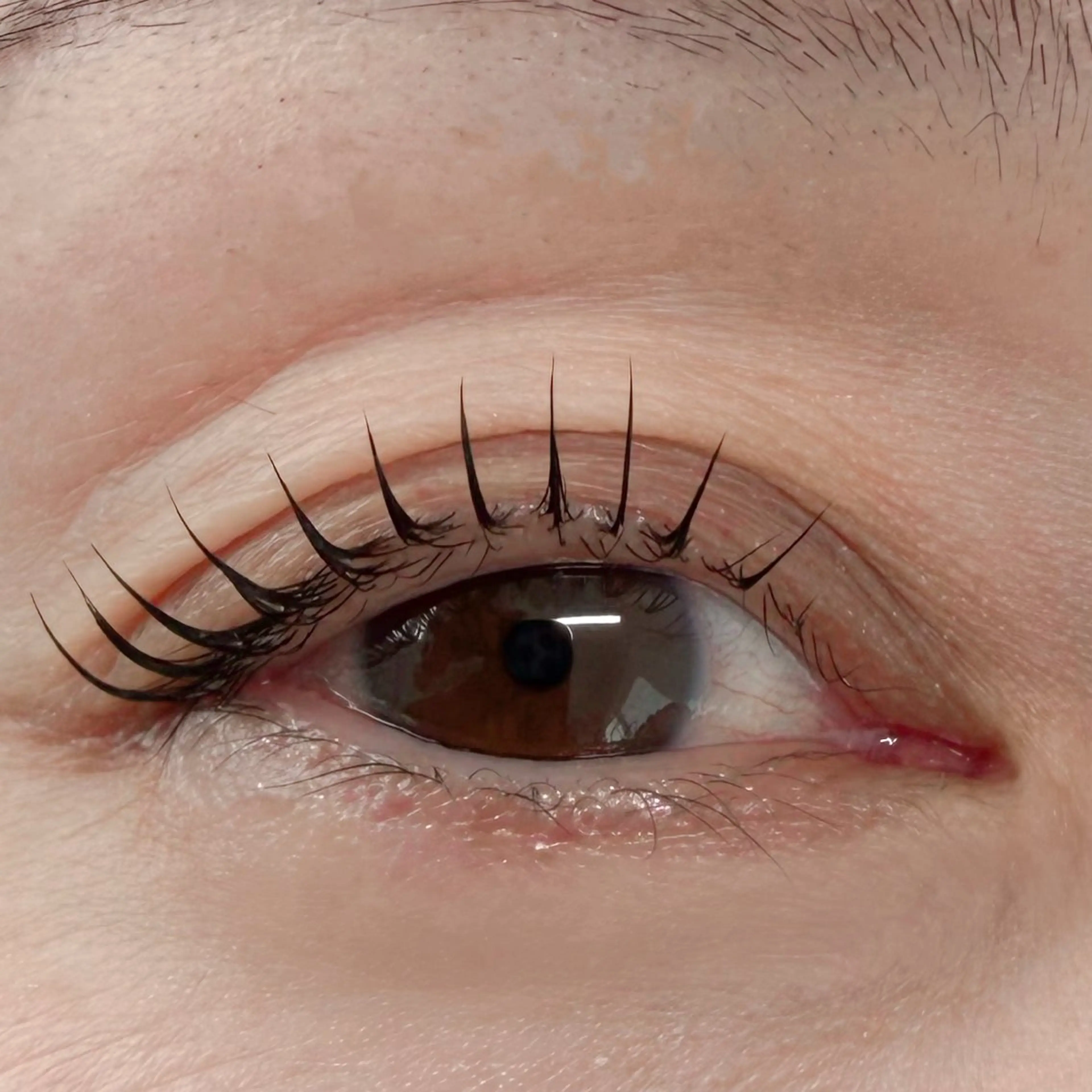 マツエク・マツパ マツパ 杉野 まみのマツエク・マツパデザイン