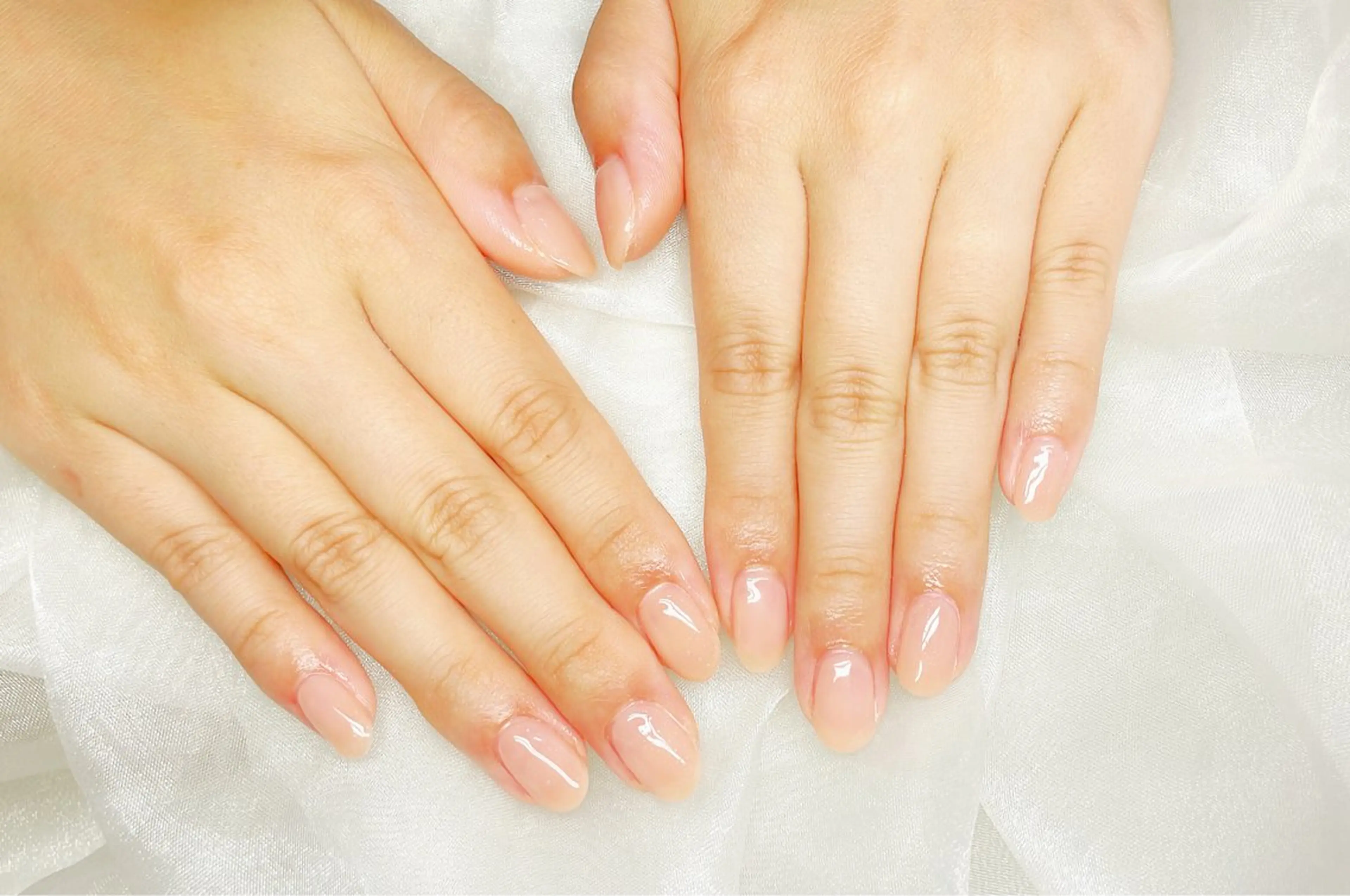 ネイル 森♡nail ♡ ①のネイルデザイン