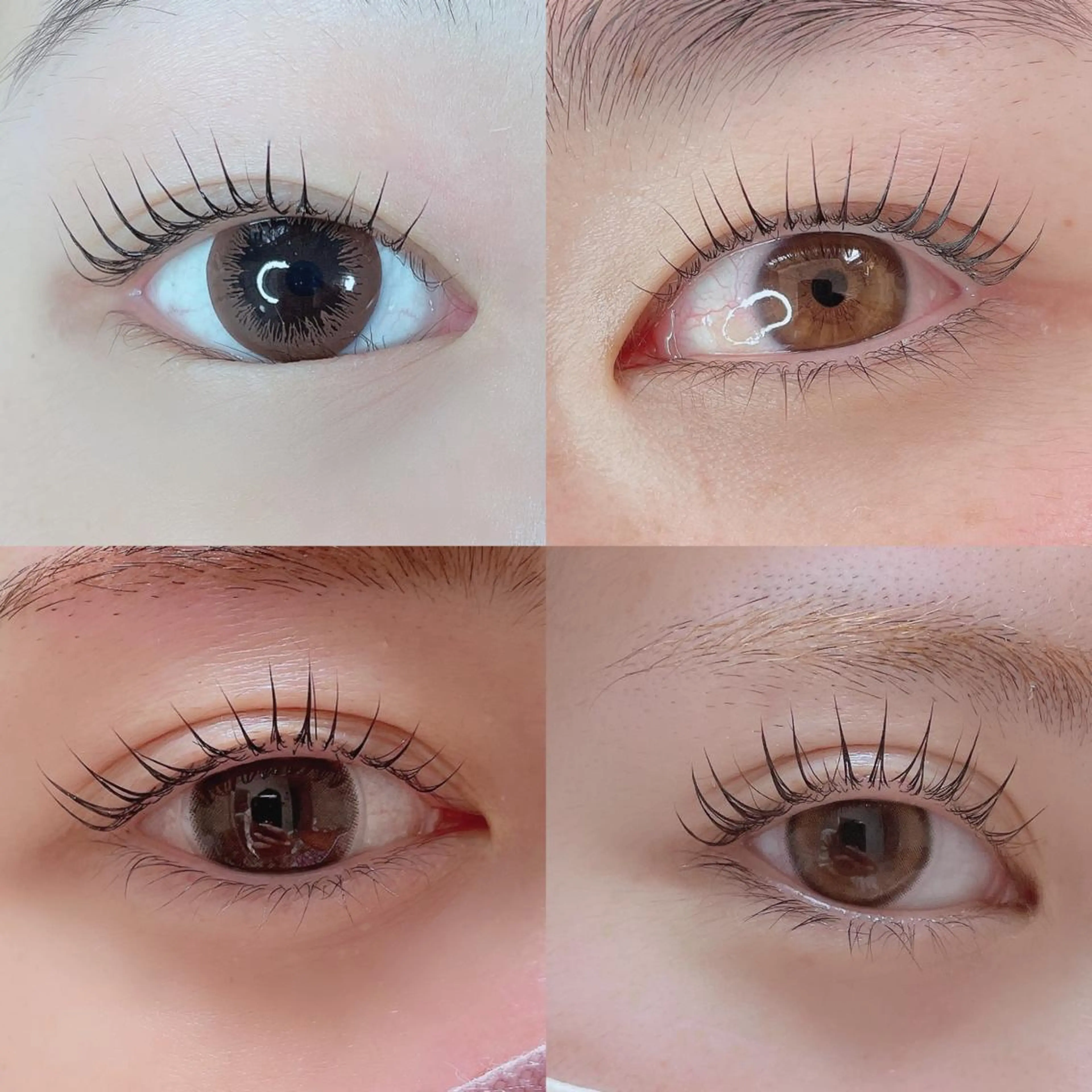 マツエク・マツパ プル eyelashのマツエク・マツパデザイン