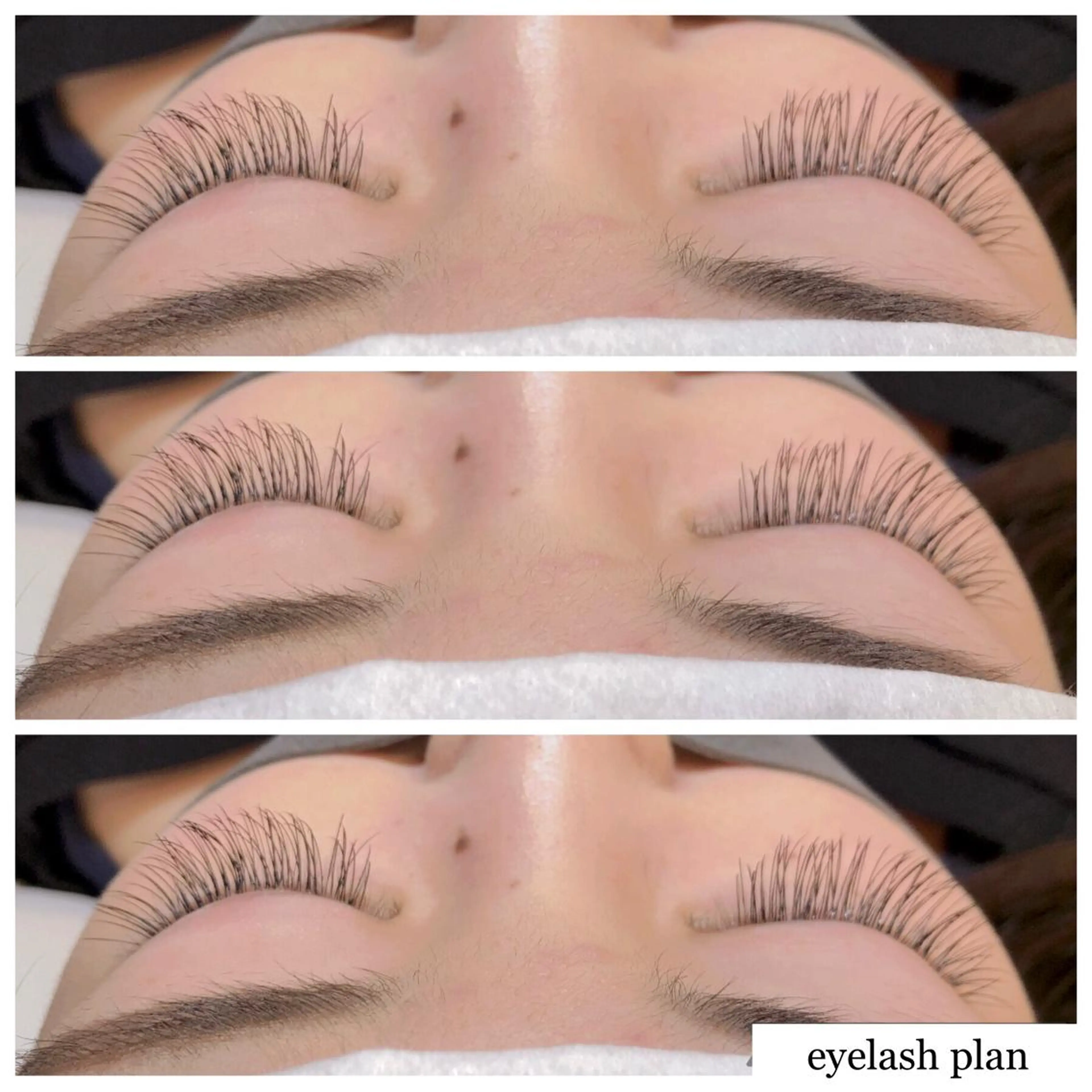 マツエク・マツパ 《eyelash ｉｉｔｅ》森のマツエク・マツパデザイン