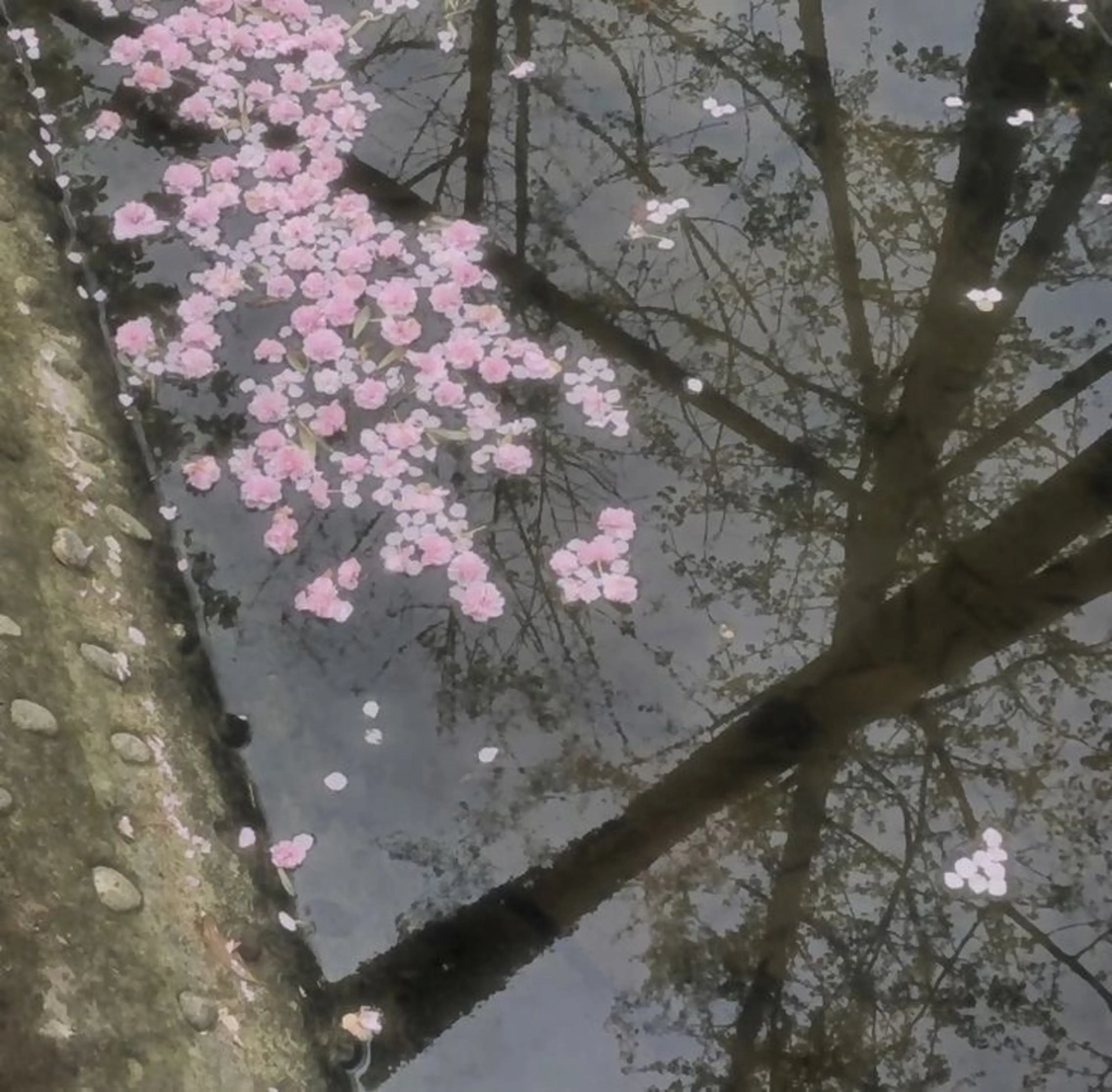 TAKAHASHI 🎀✨韓国風/束感のマツエク・マツパデザイン