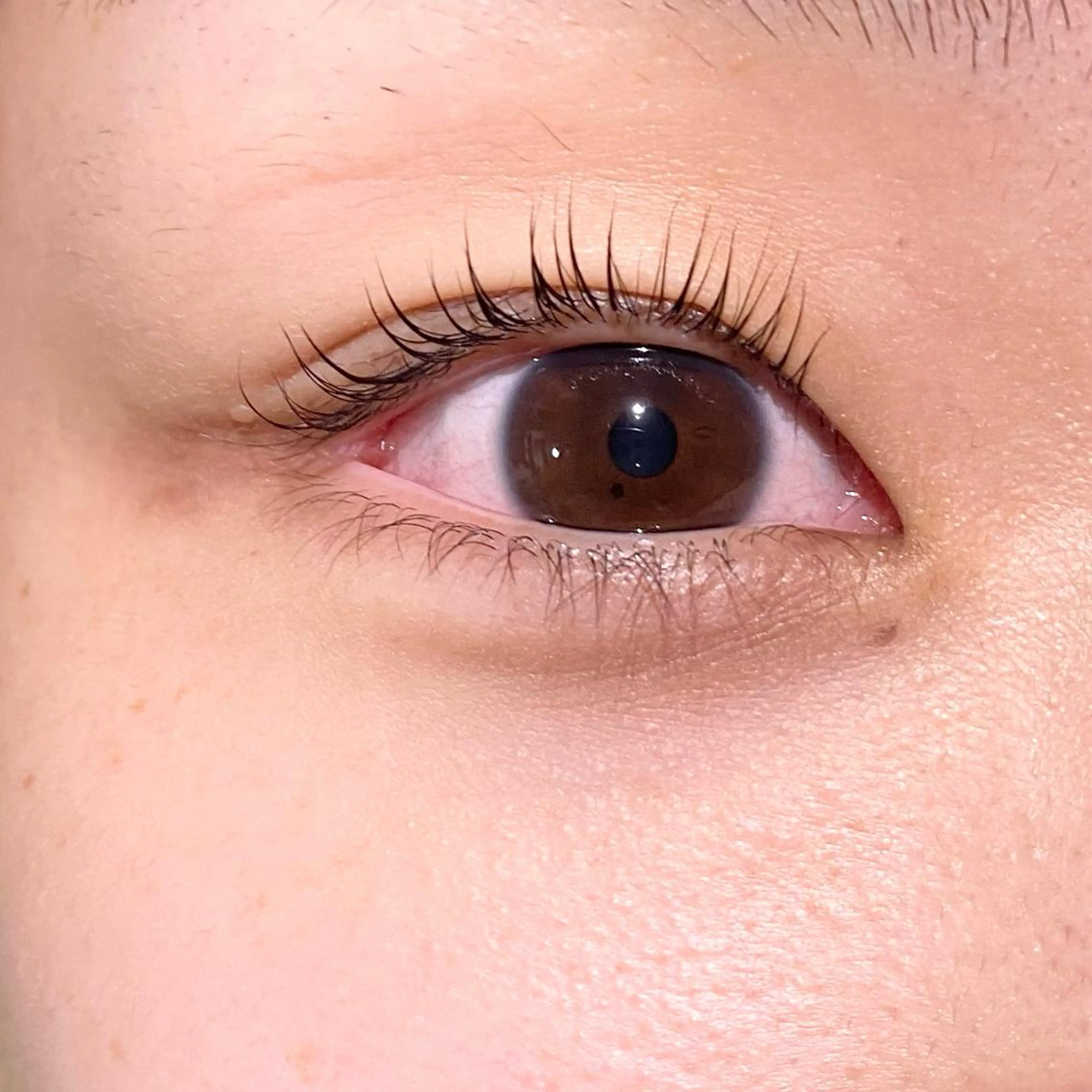 マツエク・マツパ みやび/透明感カラー /髪質改善のその他イメージ