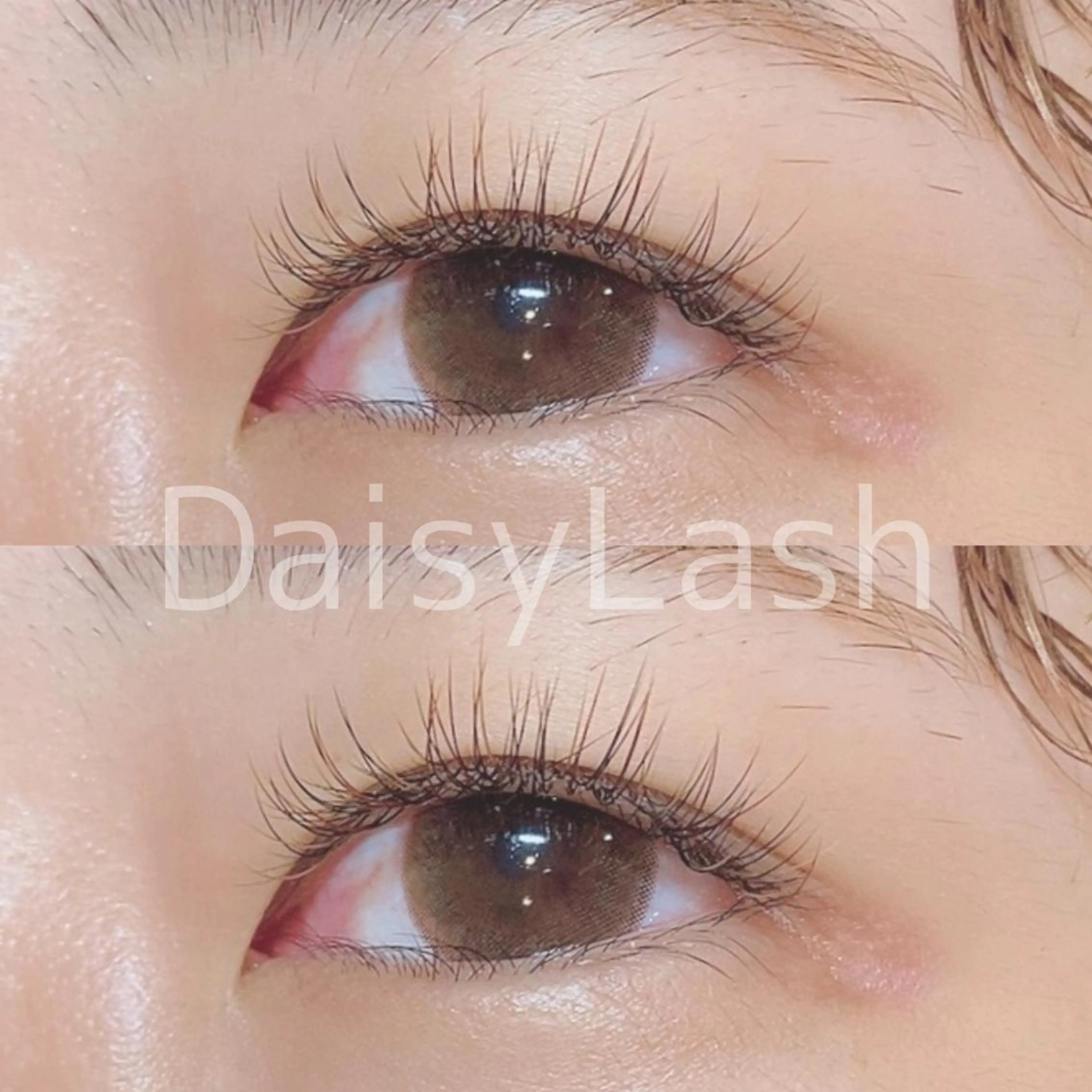 マツエク・マツパ DaisyLash 京橋店のマツエク・マツパデザイン