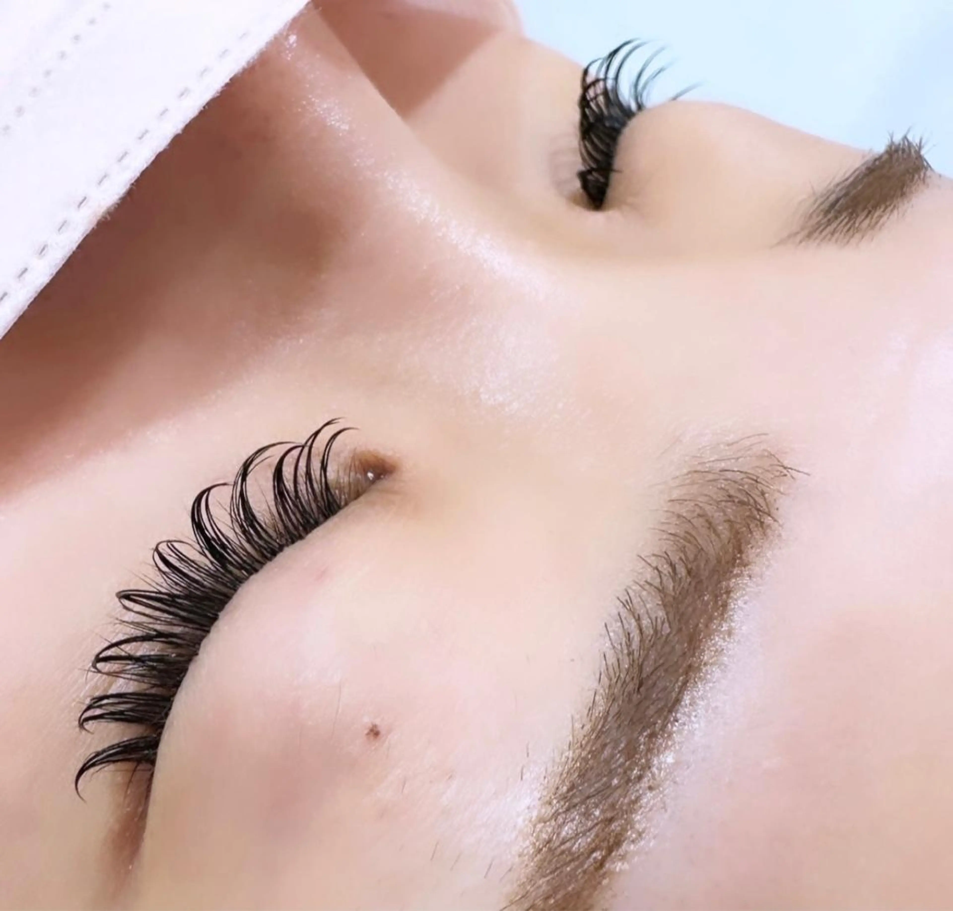 フラットラッシュ100本の写真