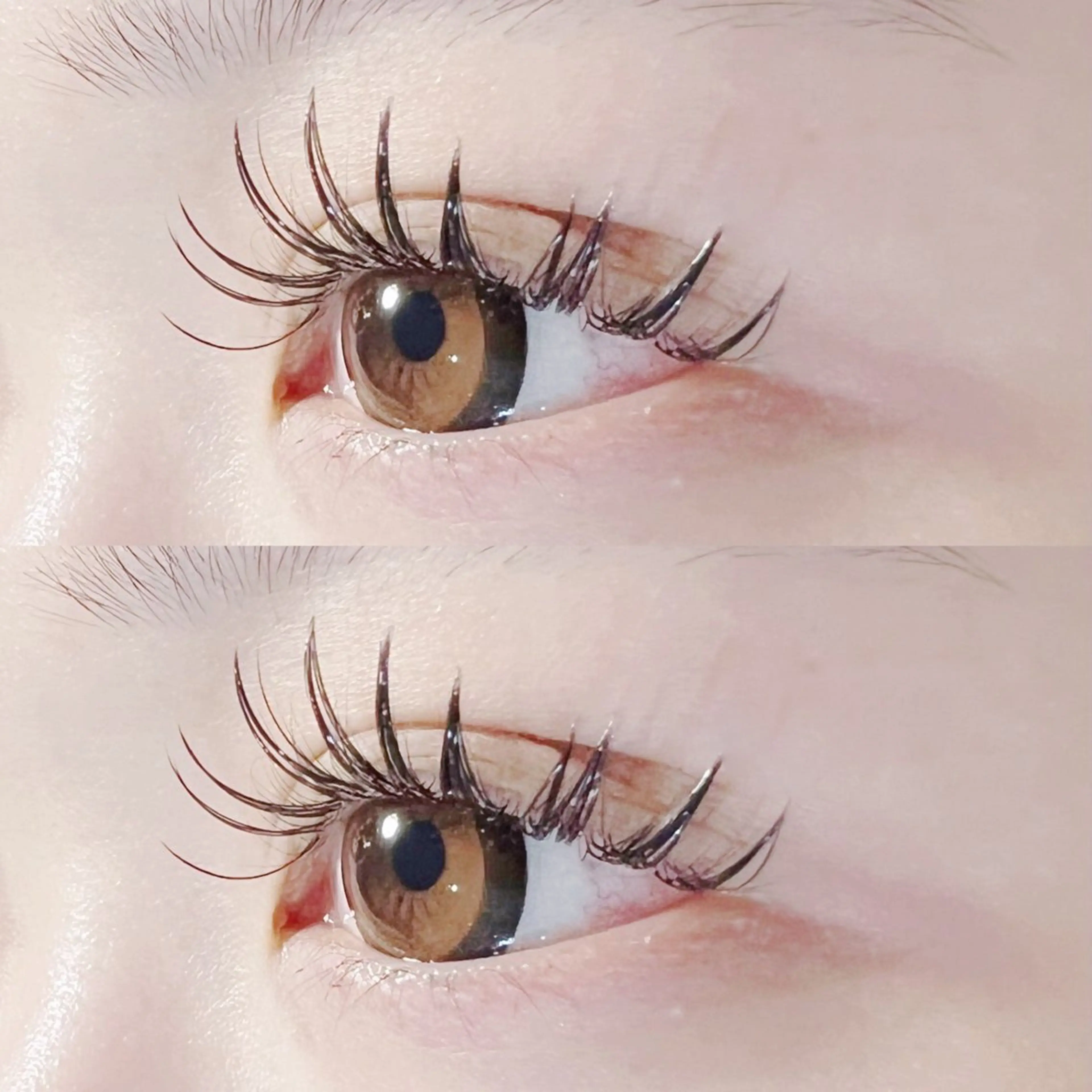 🐈🐾【パリエク】100本まで（オフ込み➕コーティング仕上げ）❣️✨の写真