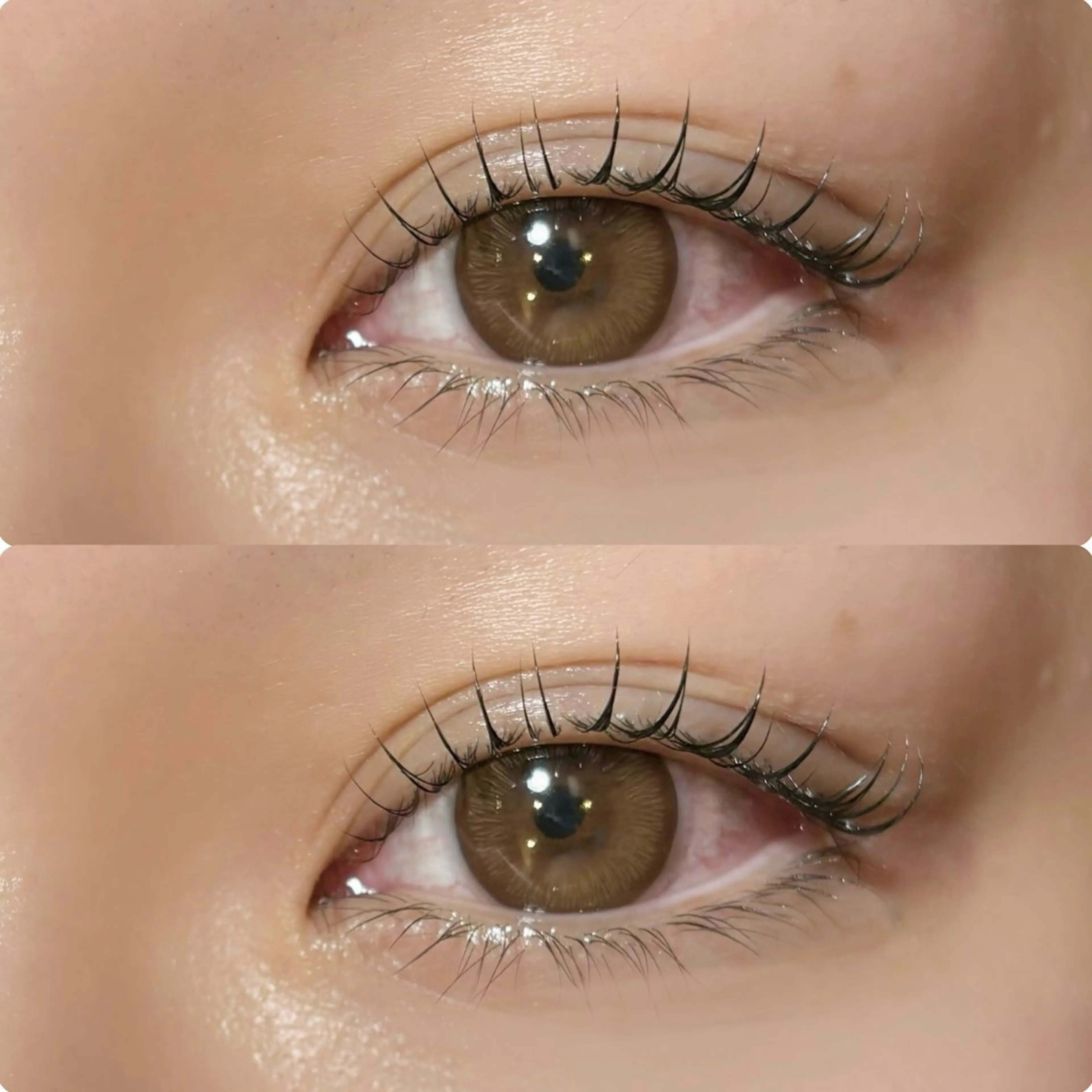 マツエク・マツパ meguru／マツパ ／マツエク／束感のマツエク・マツパデザイン