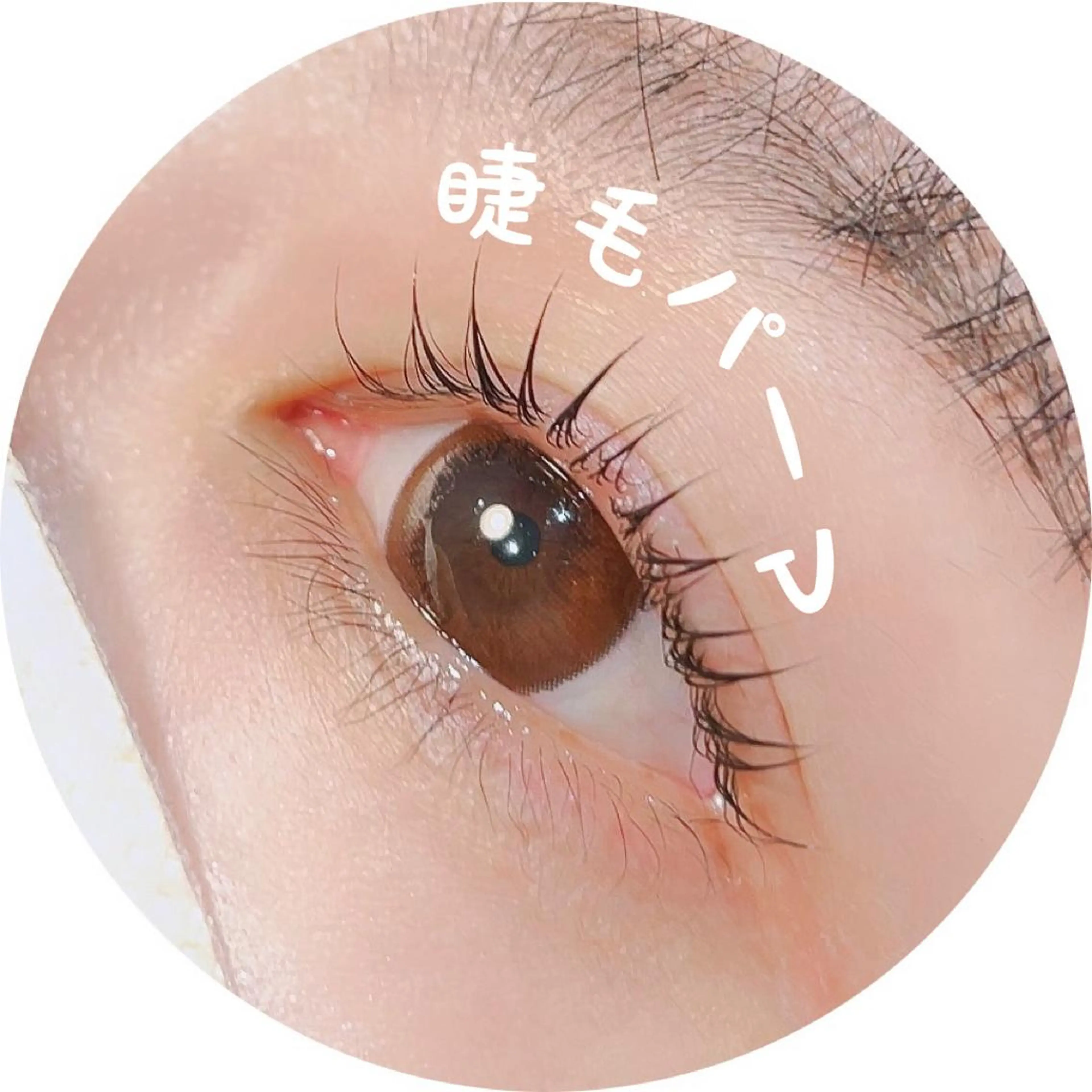 マツエク・マツパ 束感まつ毛 HAYASHI💗 忙しい女性の救世主のマツエク・マツパデザイン