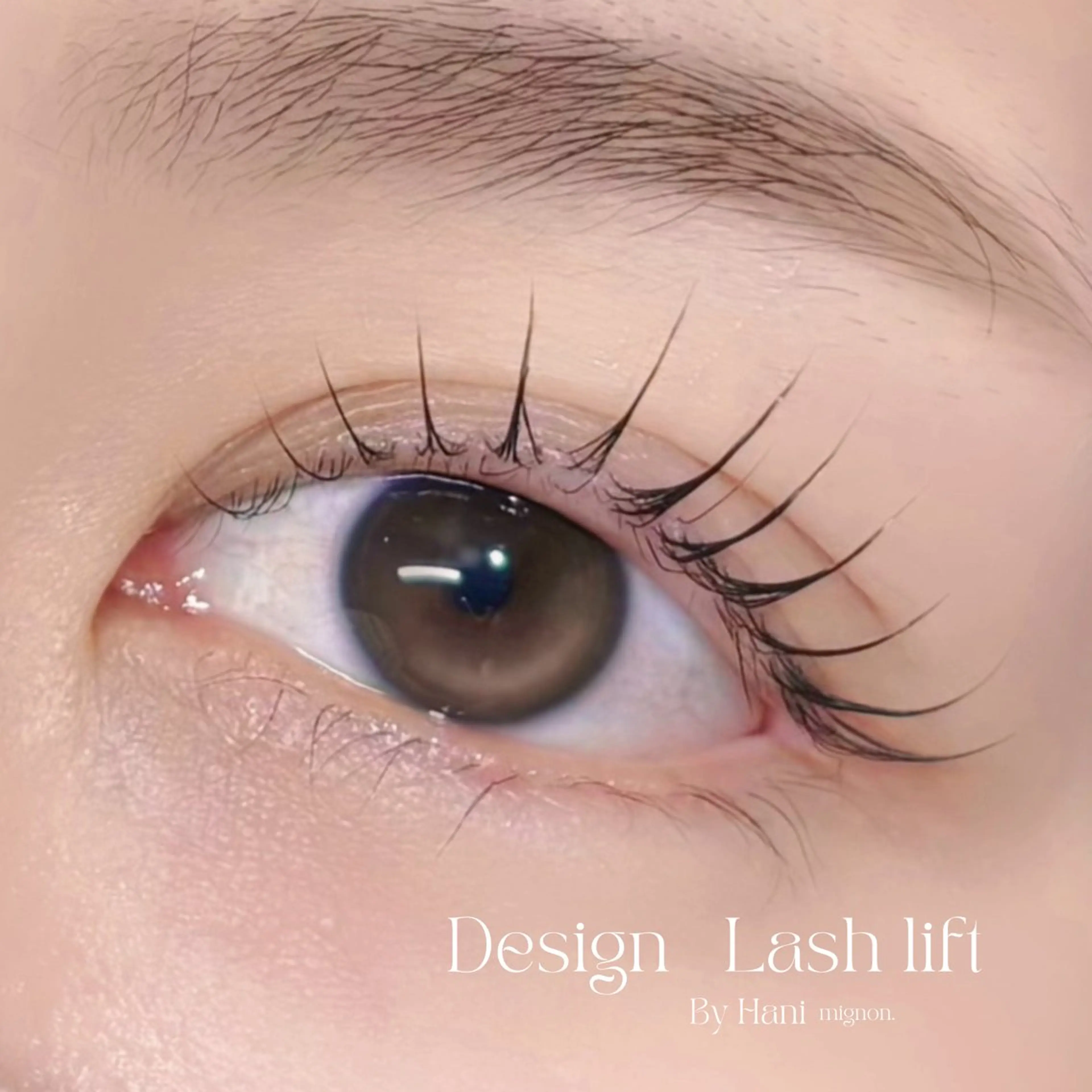 マツエク・マツパ Hani🌛 マツパ/アイブロウのマツエク・マツパデザイン