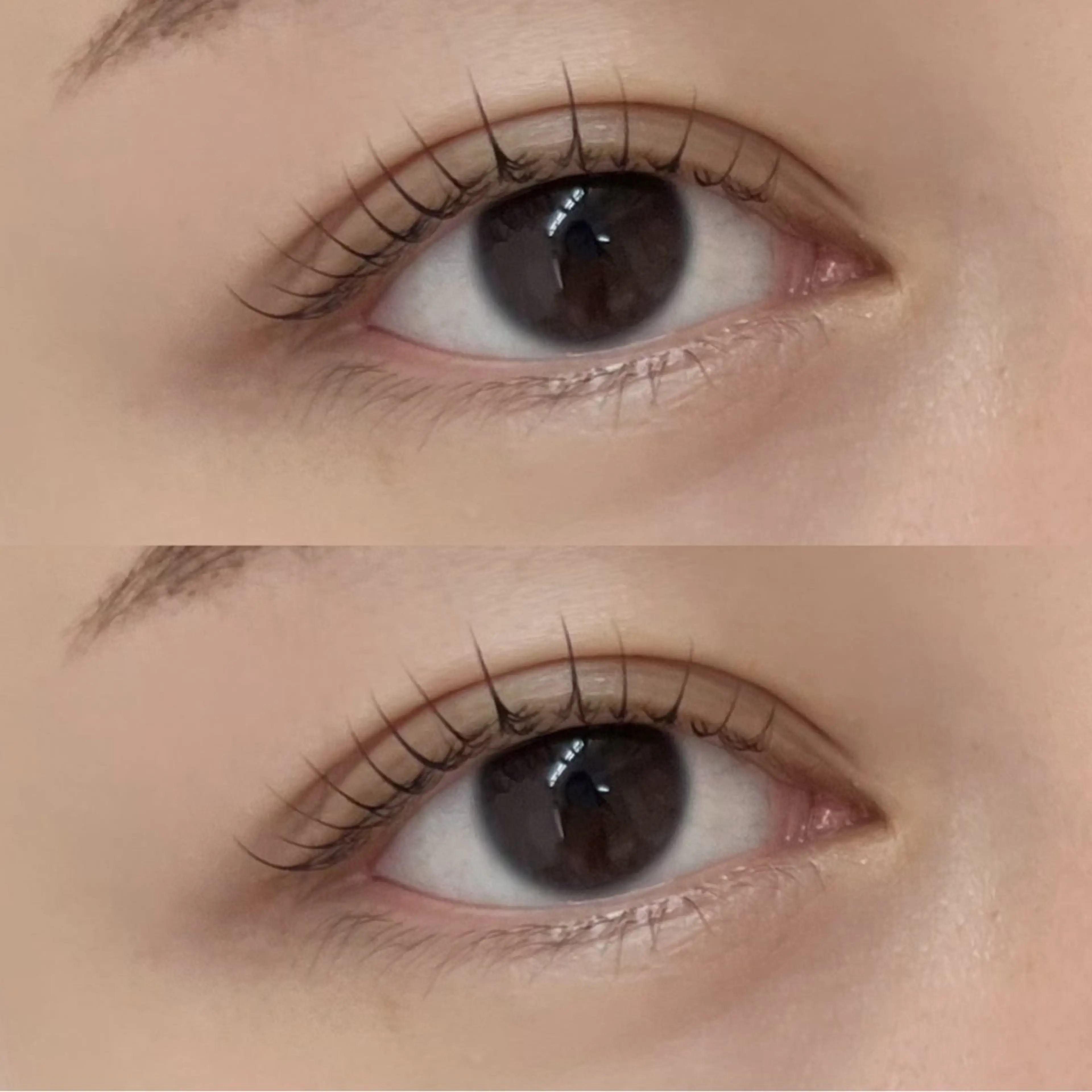 【2回目】ラッシュリフト💫の写真