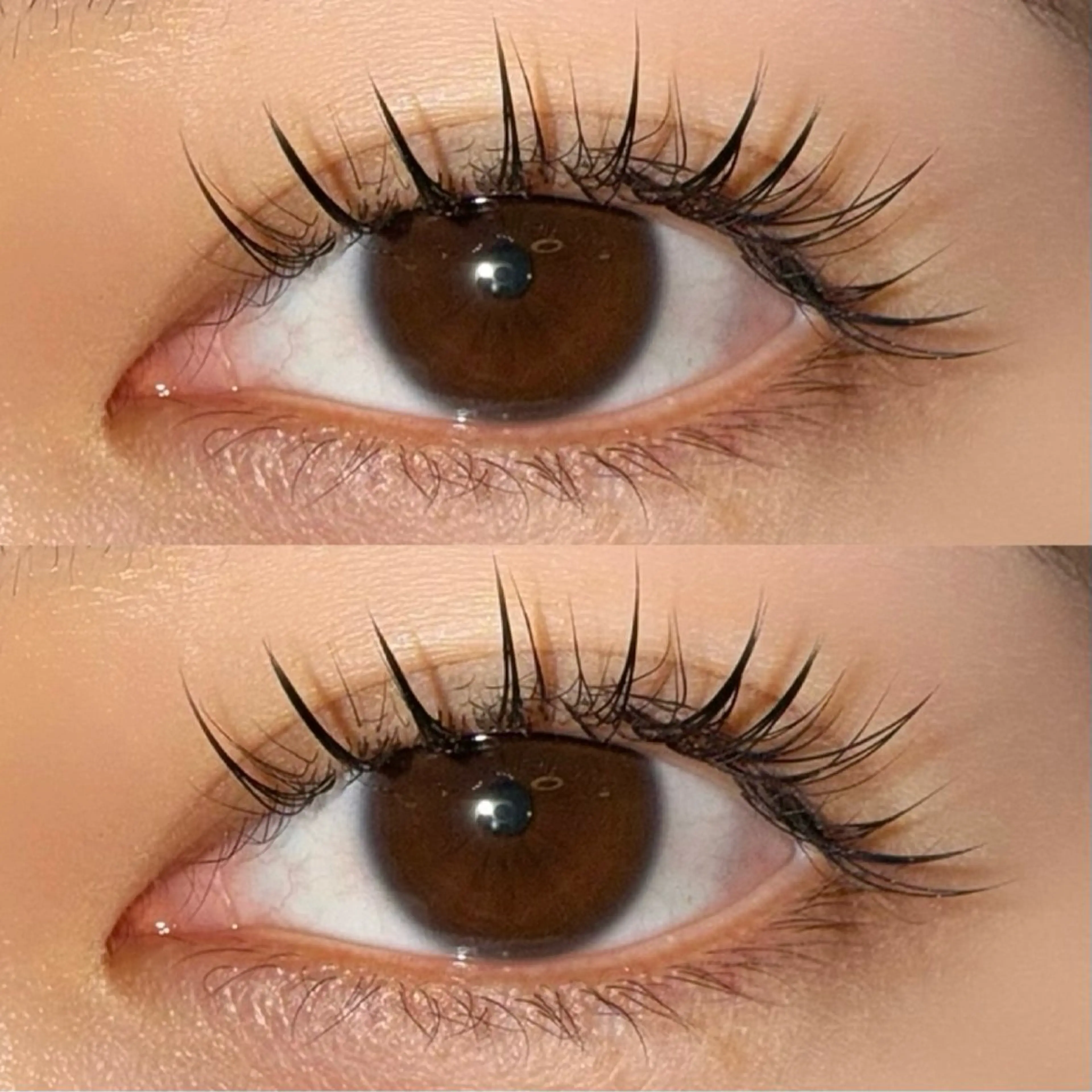 【🌸14日限定🌸】フラットラッシュ120本＋コーティング（オフ込み）の写真