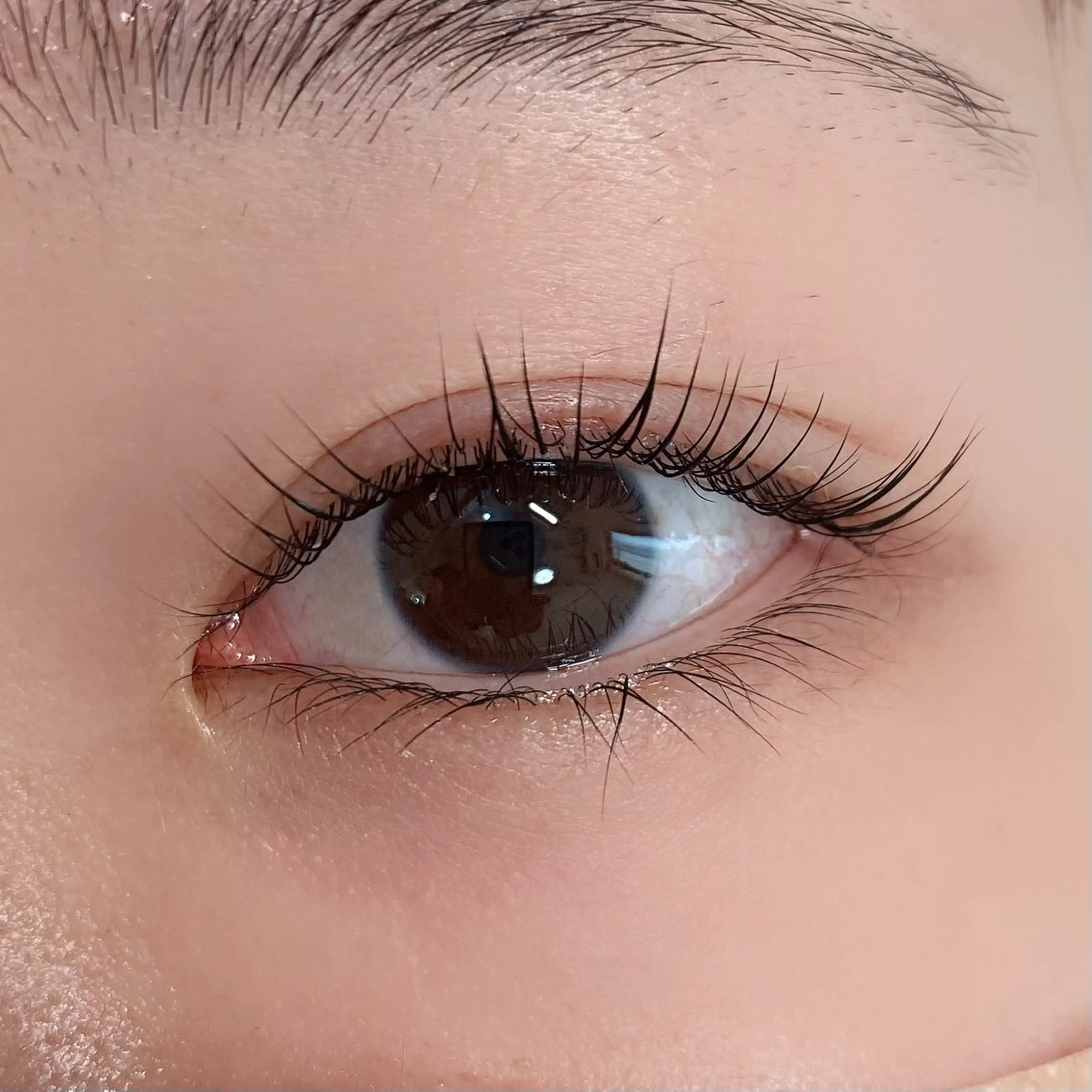 💖大人気💖ラッシュリフト⭐️ケラチントリートメント&コーティング付⭐️¥6600→¥5500の写真