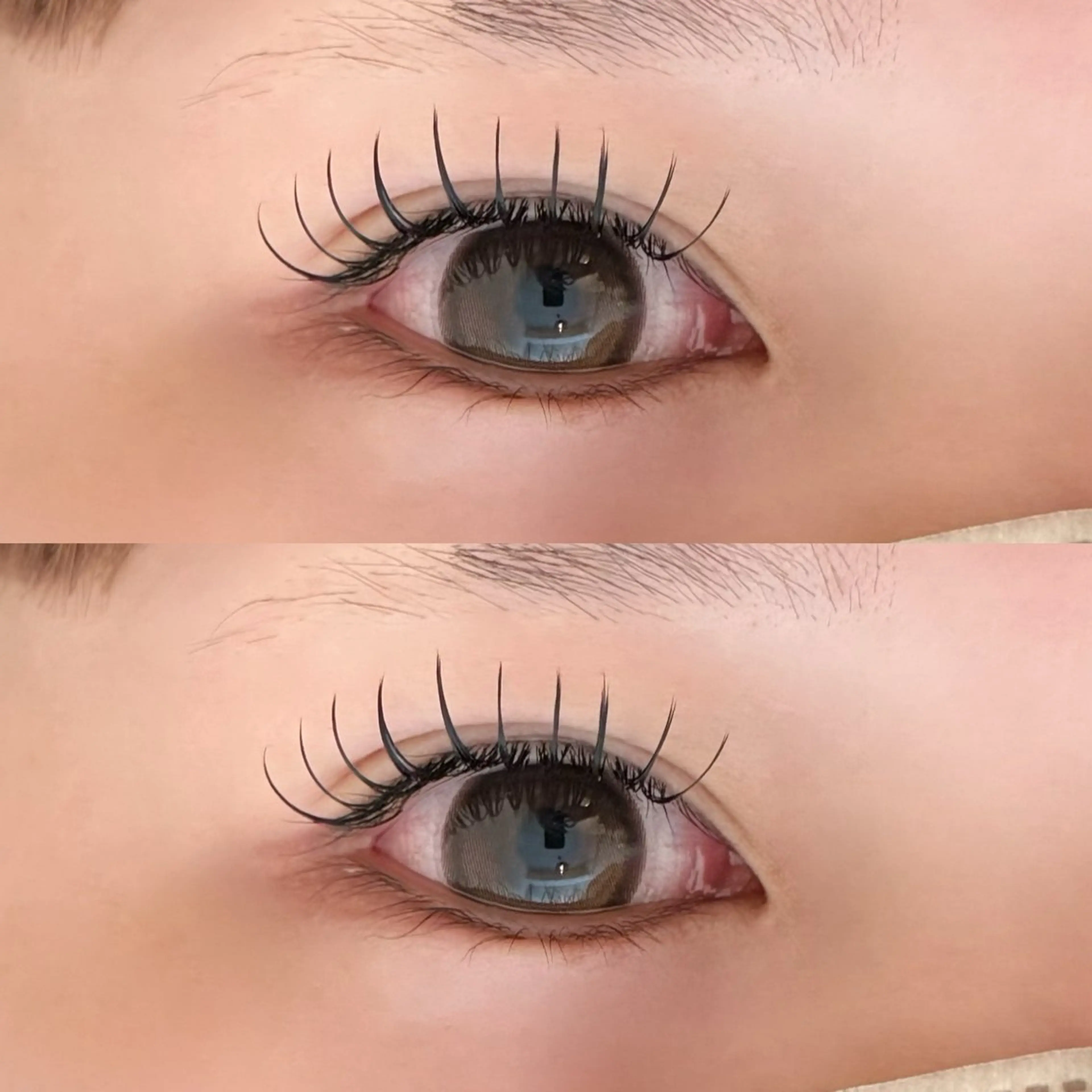 マツエク・マツパ マツエク 🐾ROAR🐾 HAZUKIのマツエク・マツパデザイン