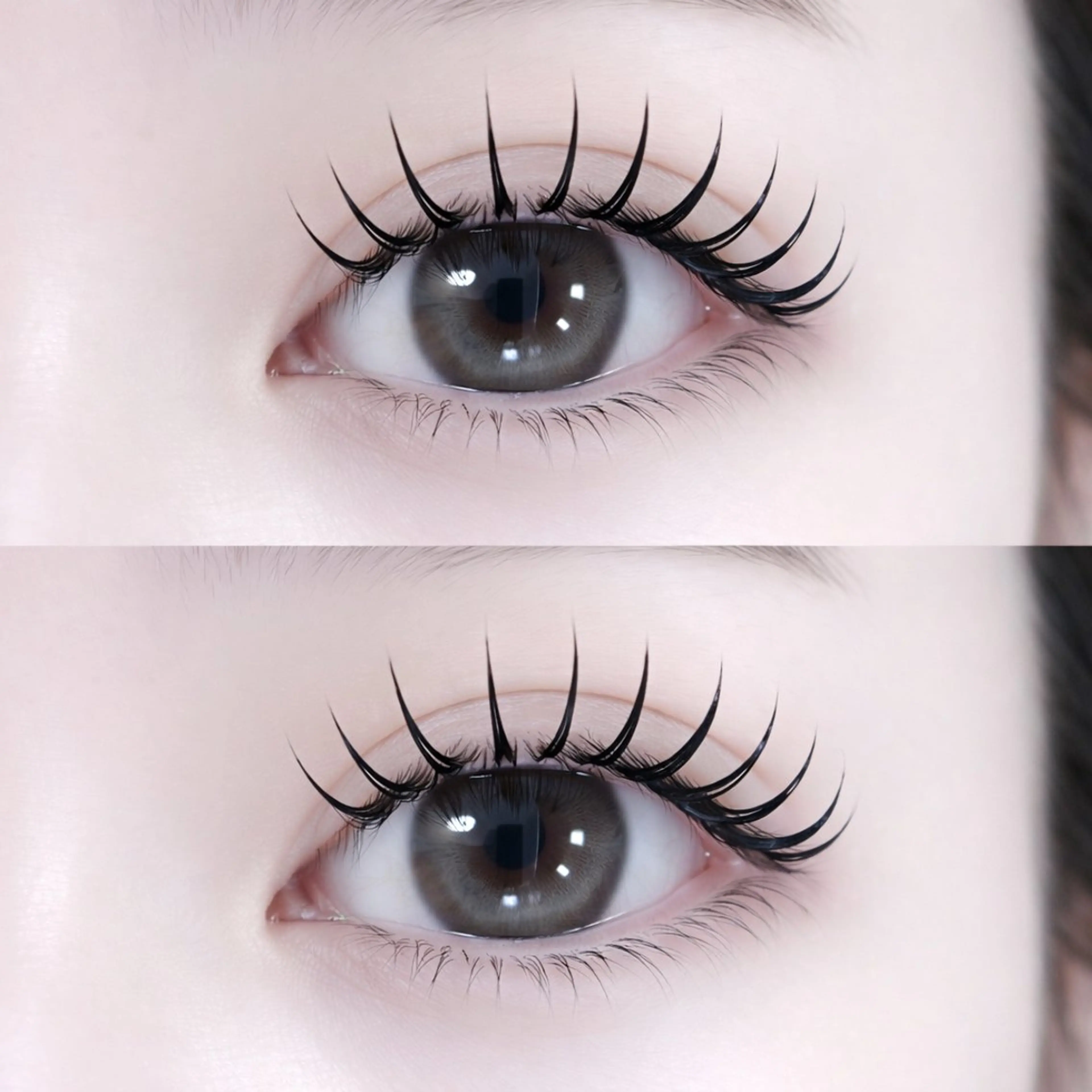 【春のふんわり愛されまつげ】🌸似合わせバインドロック60束~100束🌸の写真