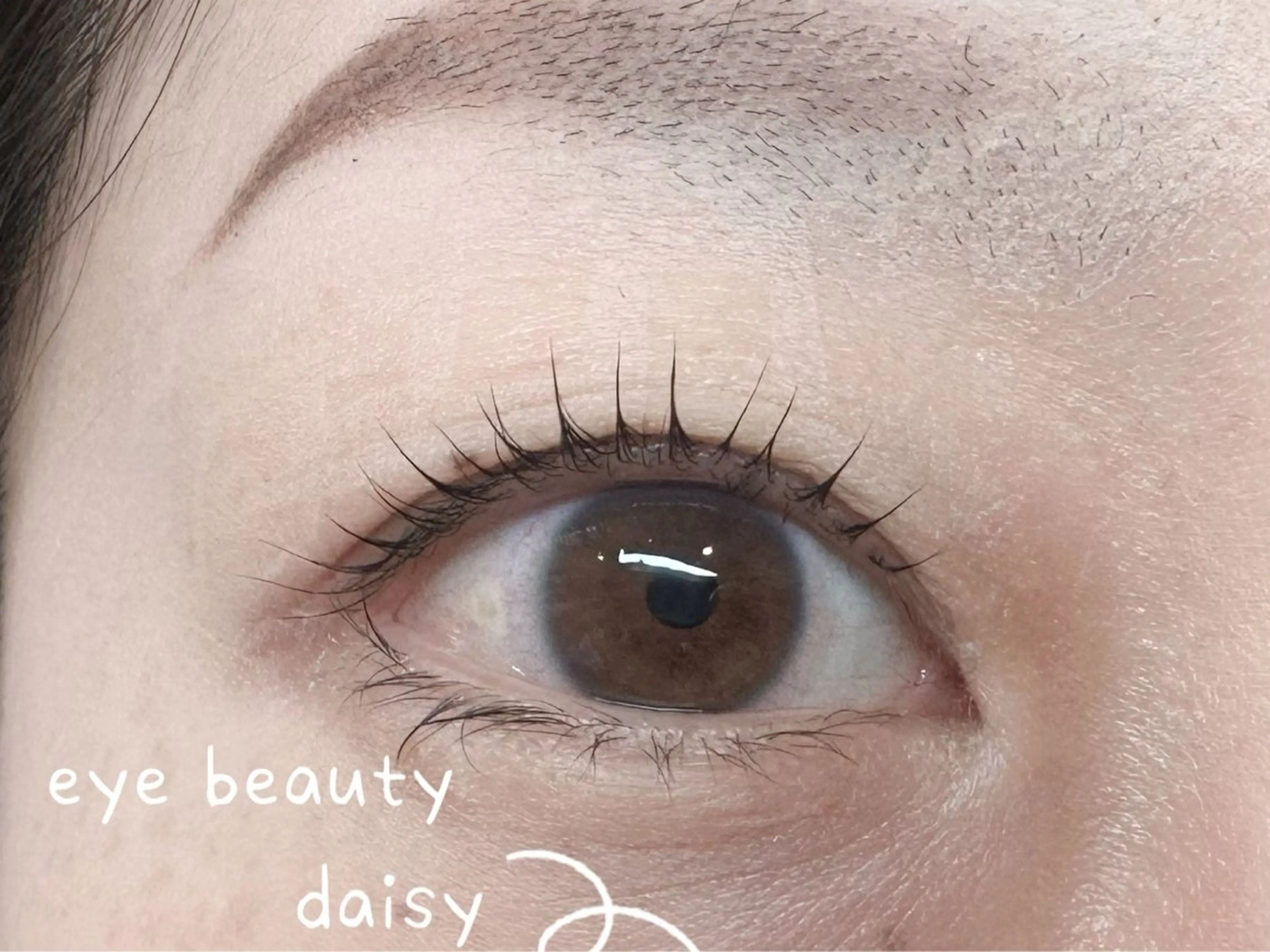 パーマ マツパ Daisy シンシンのマツエク・マツパデザイン