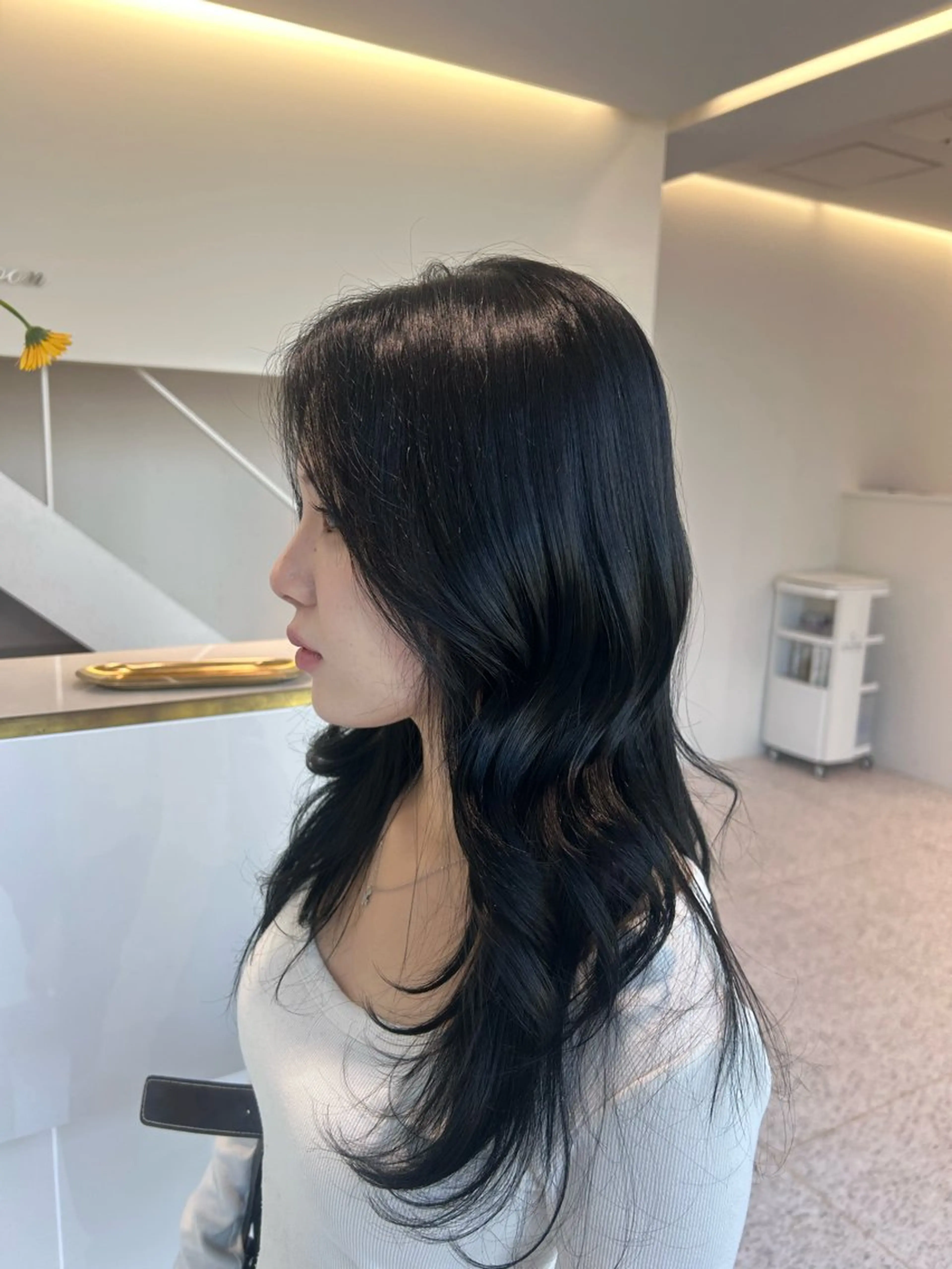 カラー 黒髪 ブルーカラー ブルーブラック Lavie moon airiのヘアスタイル