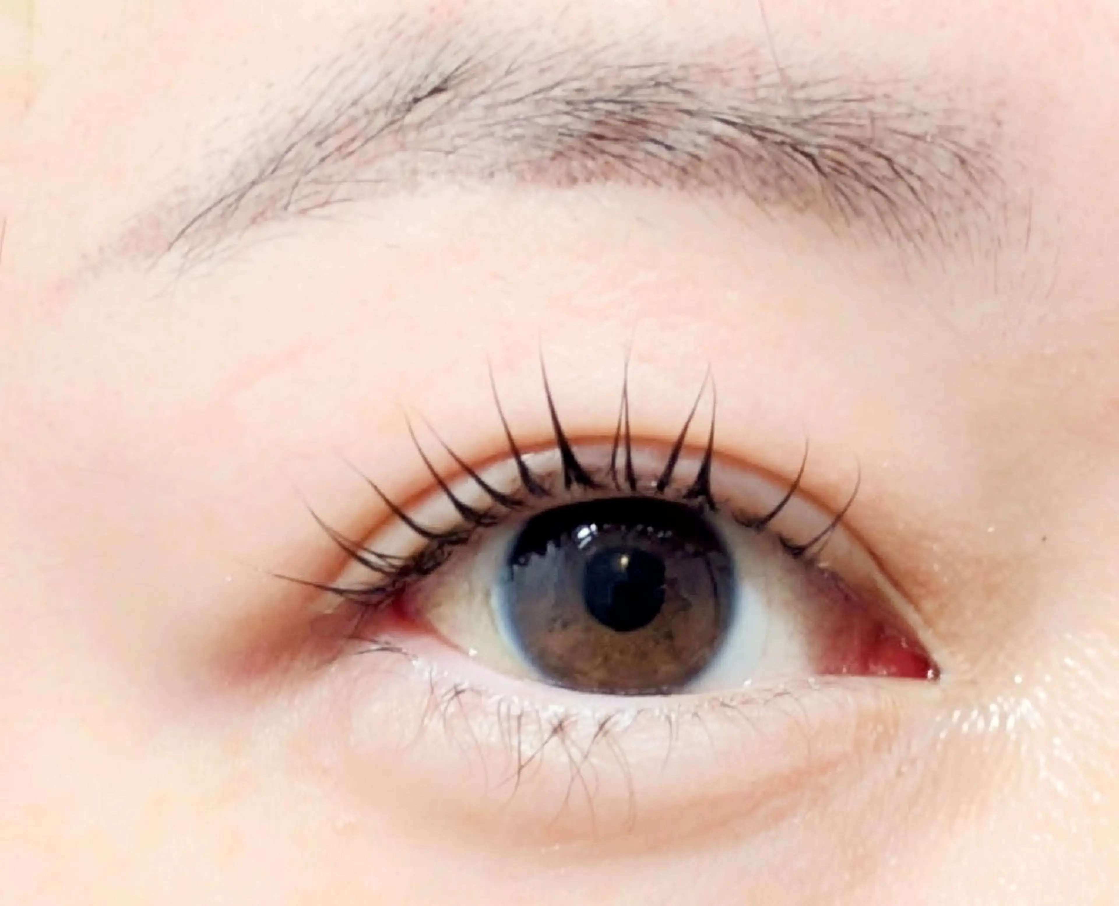 マツエク・マツパ 一重×まつ毛パーマ ANEMONA 龍河のマツエク・マツパデザイン