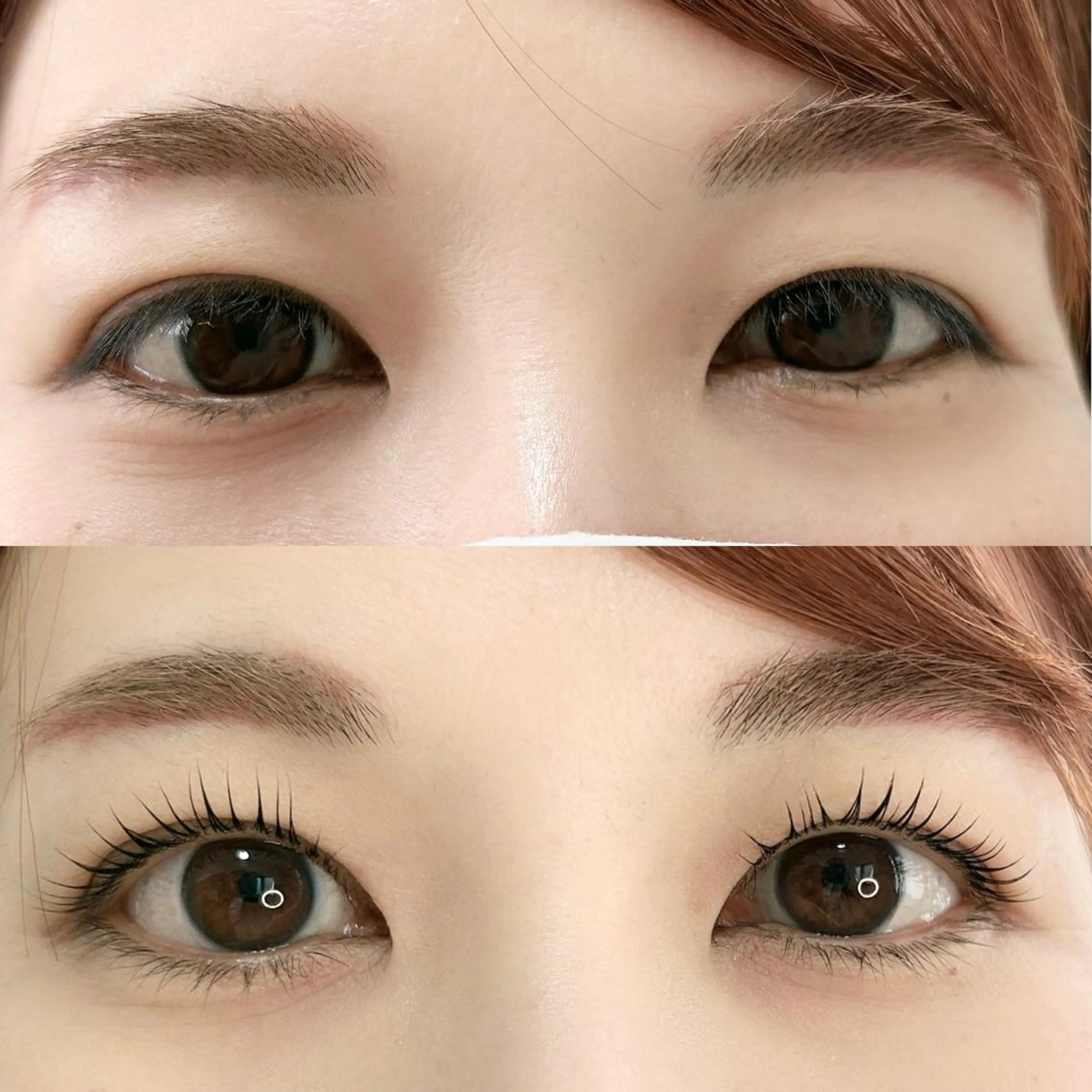 【選べるオプション付き】まつ毛パーマの写真