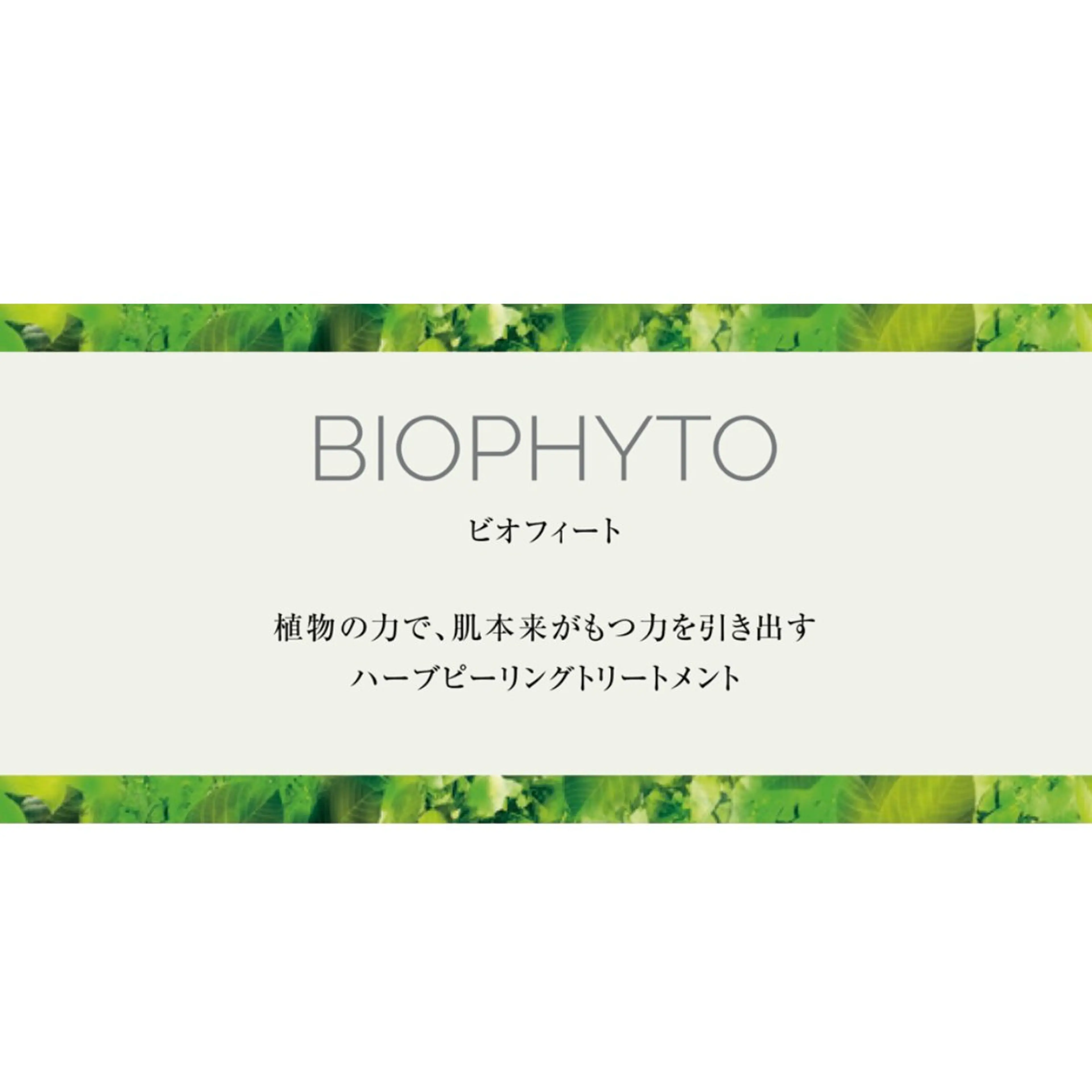 ハーブピーリング 🌿【クリスティーナ/ビオフィート】毛穴の開きや、くすみ、ざらつき、ニキビやニキビ跡にお悩みの方に!の写真