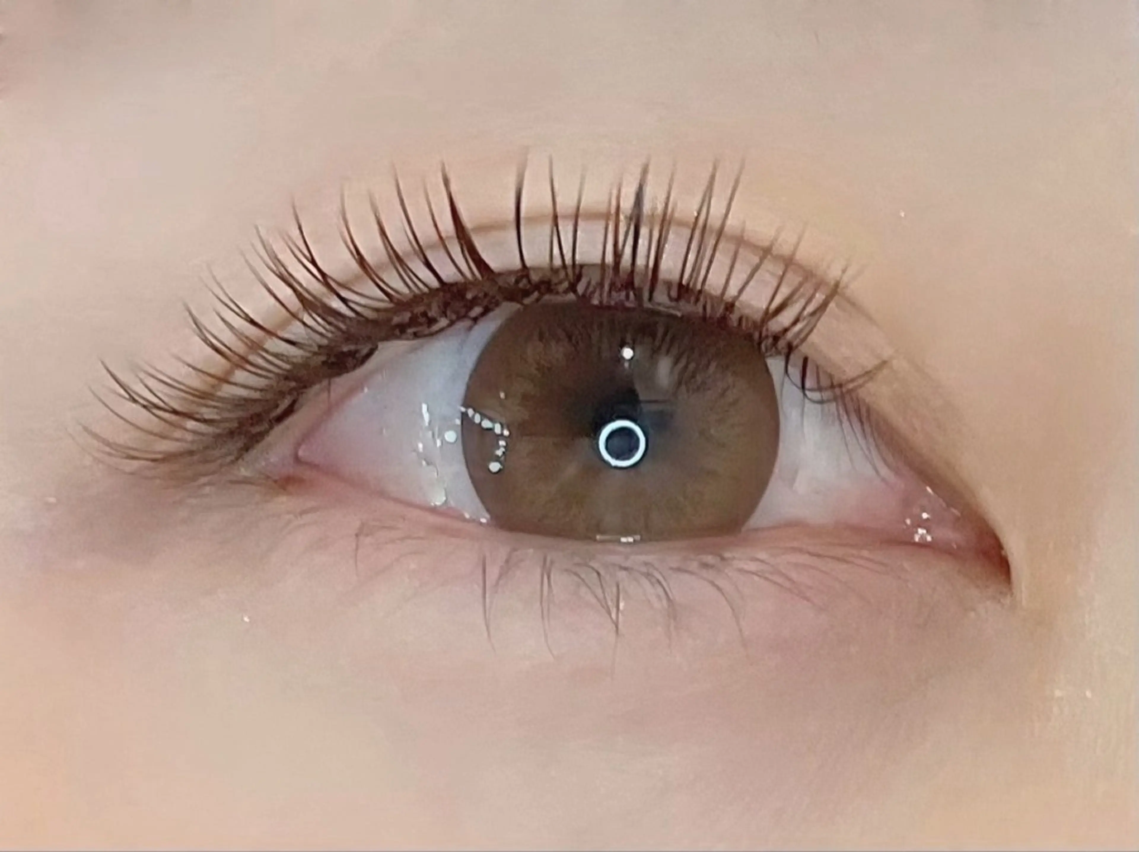 マツエク・マツパ マツエク H. Yurinaの眉毛・アイブロウイメージ