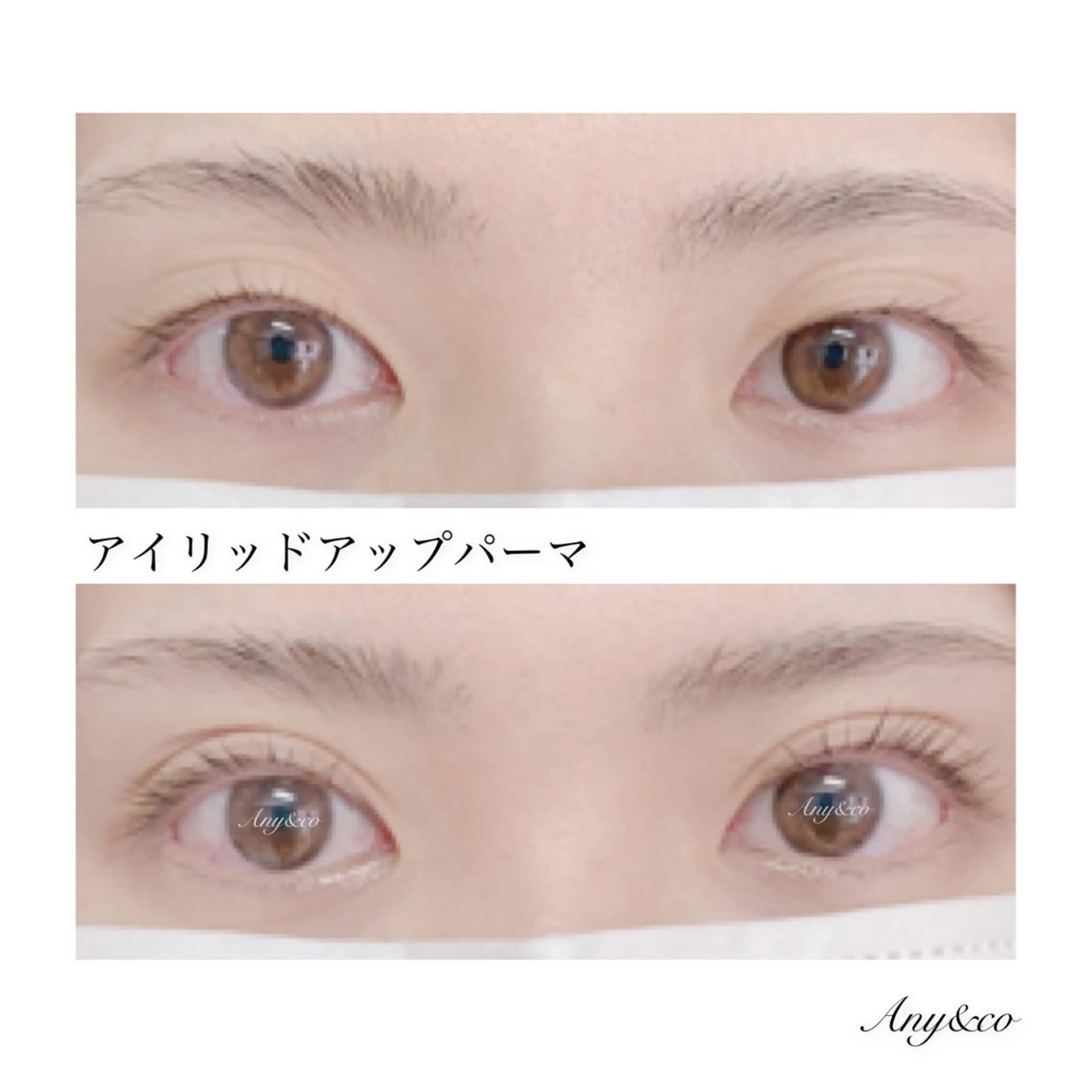 マツエク・マツパ アイリッドアップパーマ Any&co 【エニコ】のマツエク・マツパデザイン